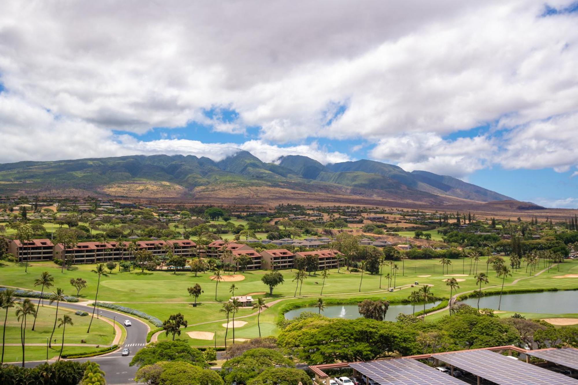 The Whaler Resort view 4