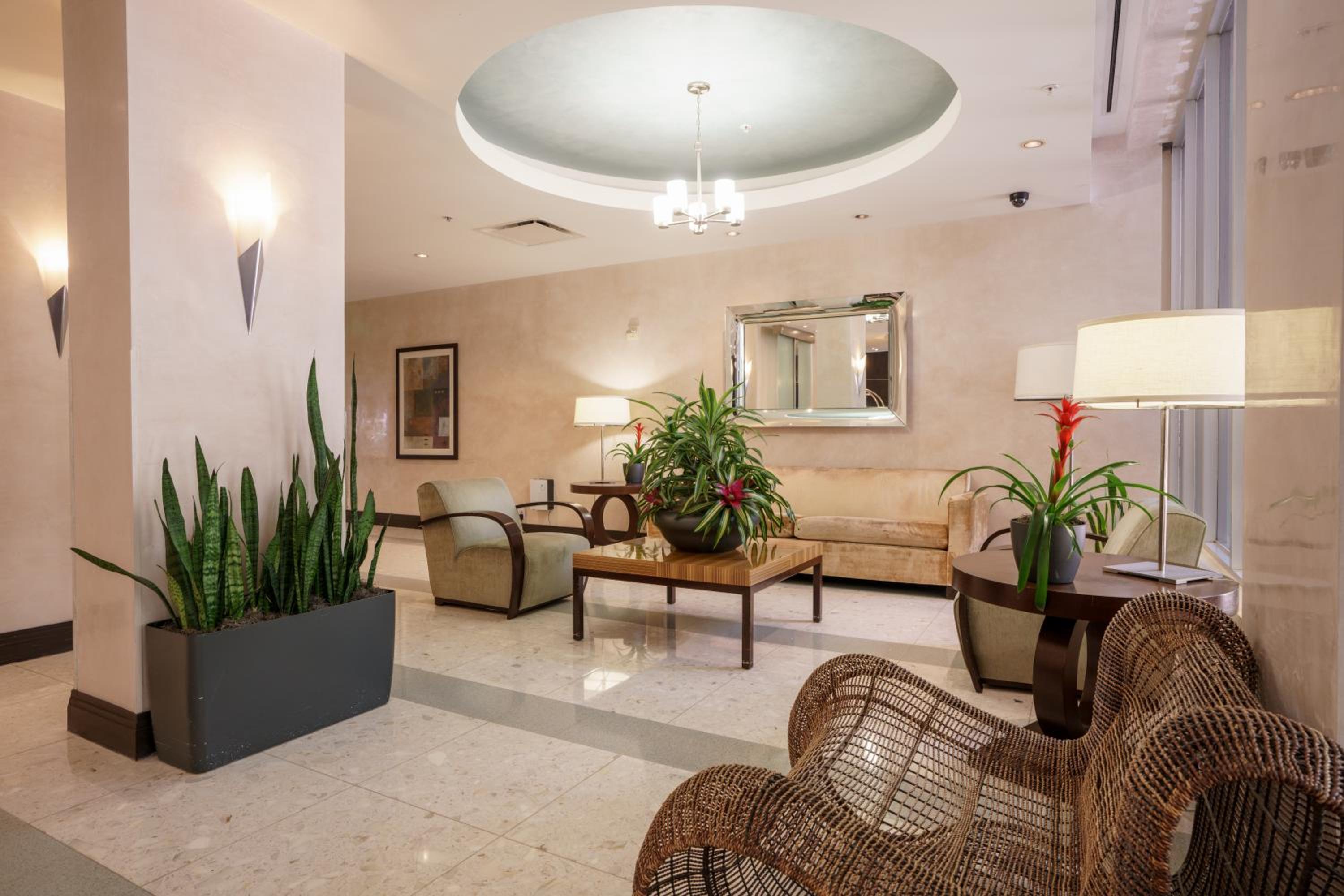 recepcion & lobby