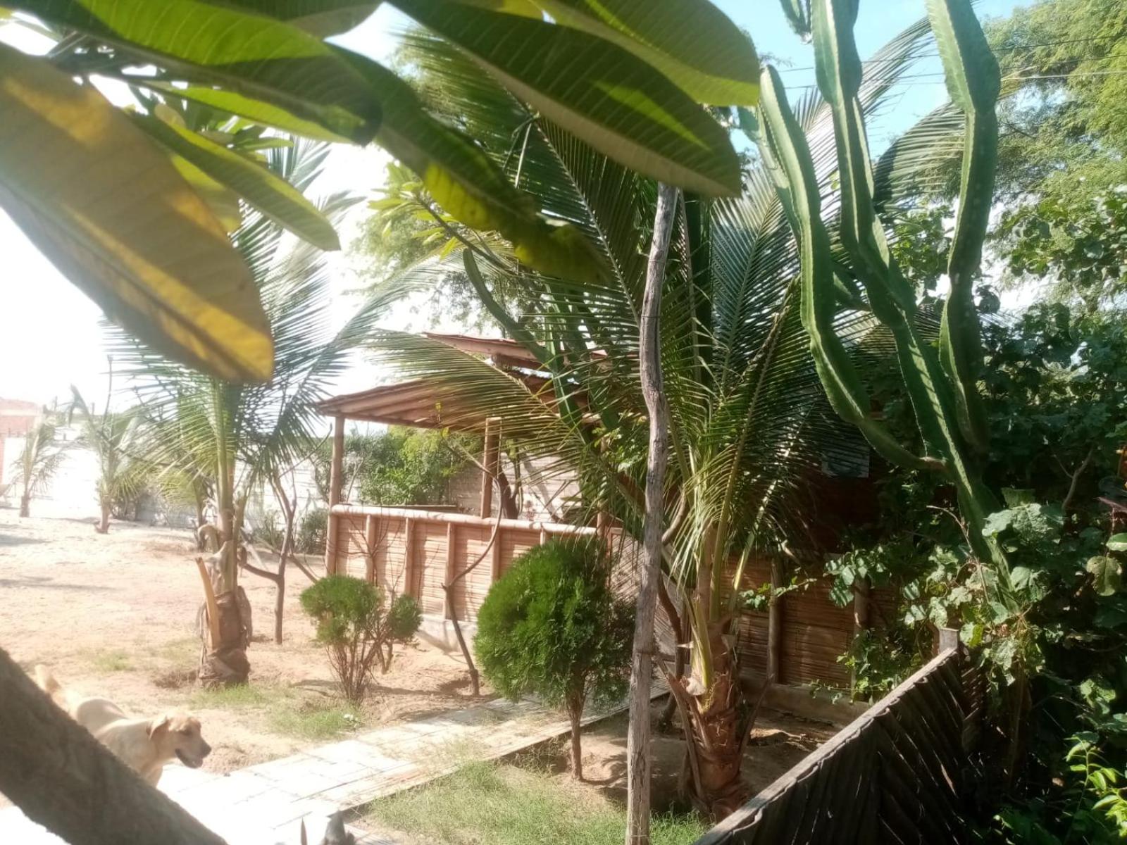 La Casa de Diego