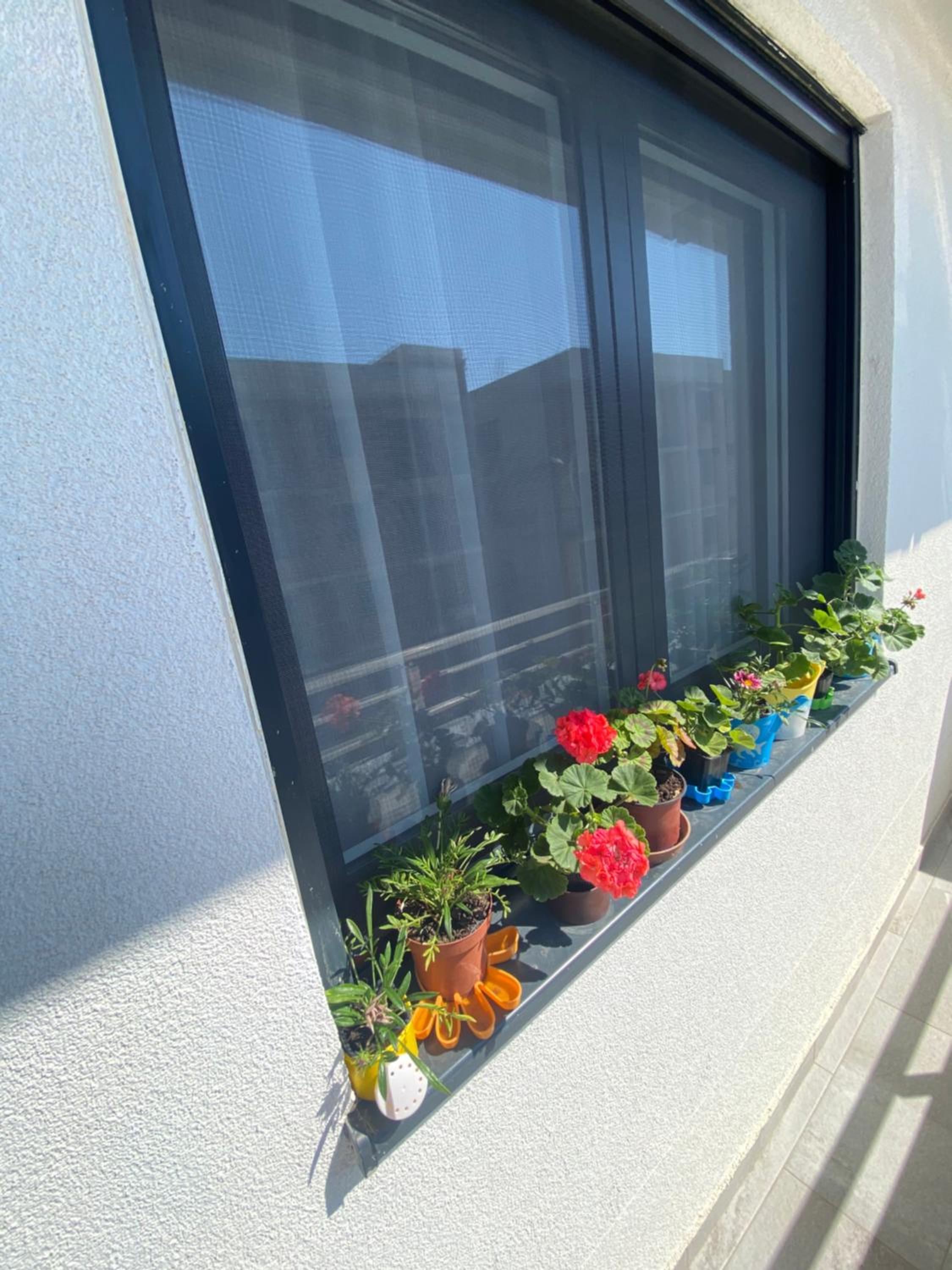 Crown Apartment