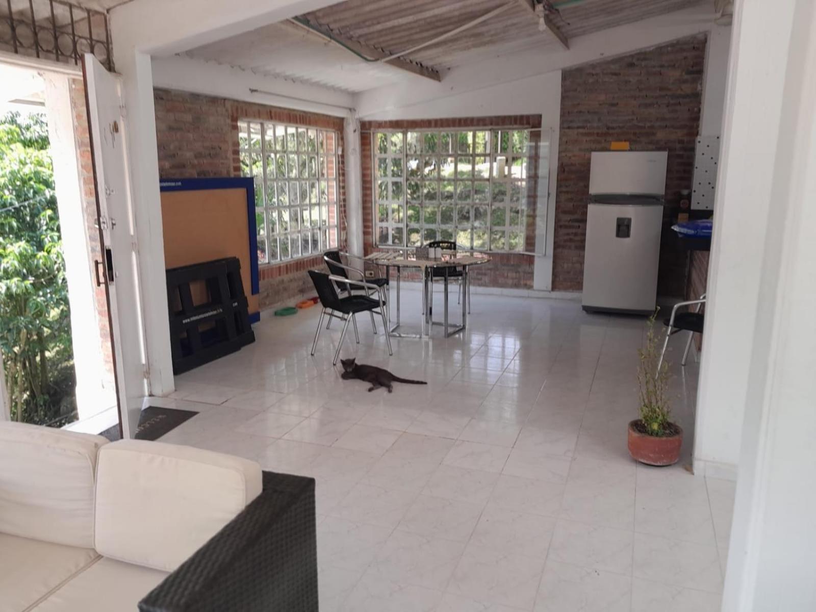 RICHYSTORE and Luna Nueva Summer House