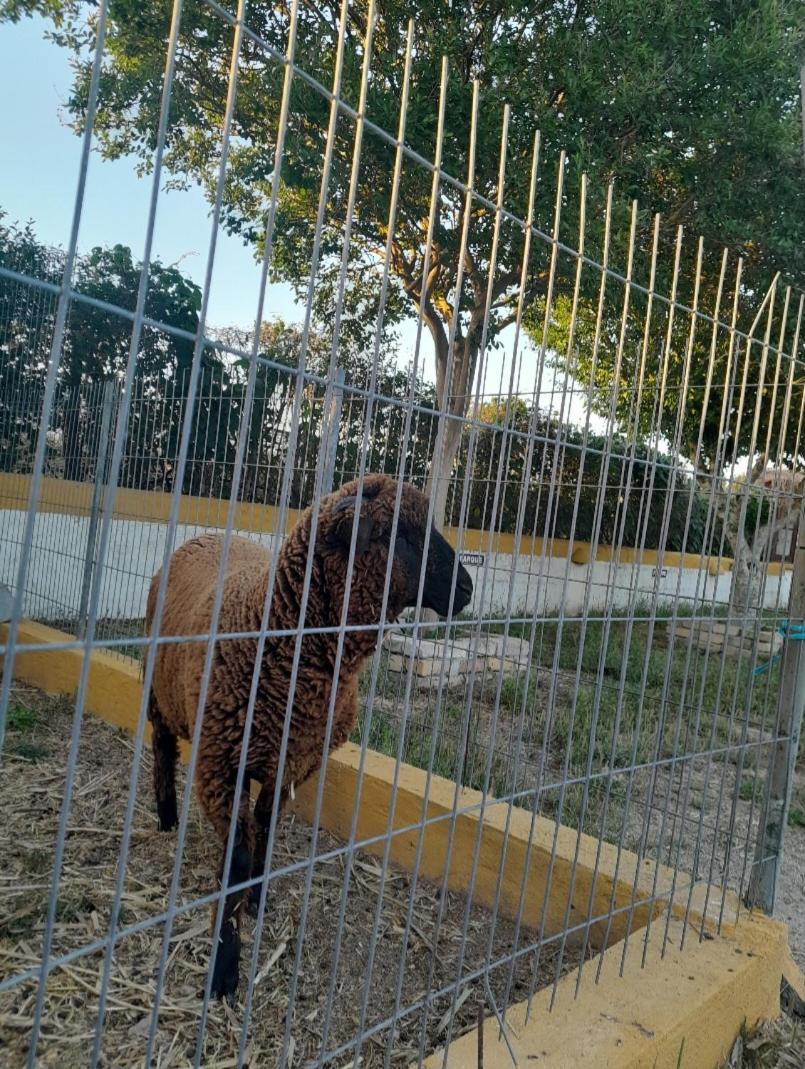 Páteo das Laranjeiras
