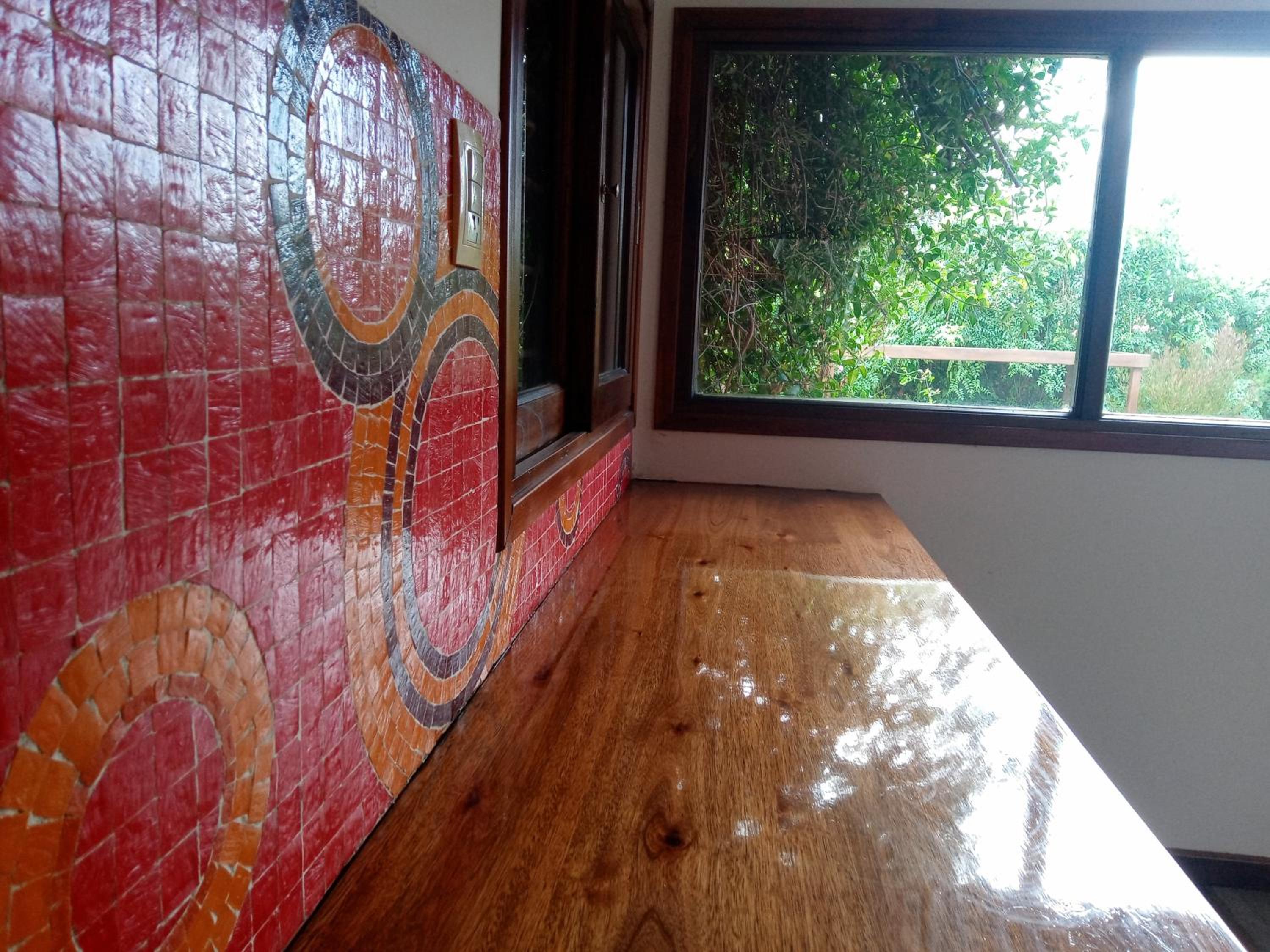casita moderna frente al bosque