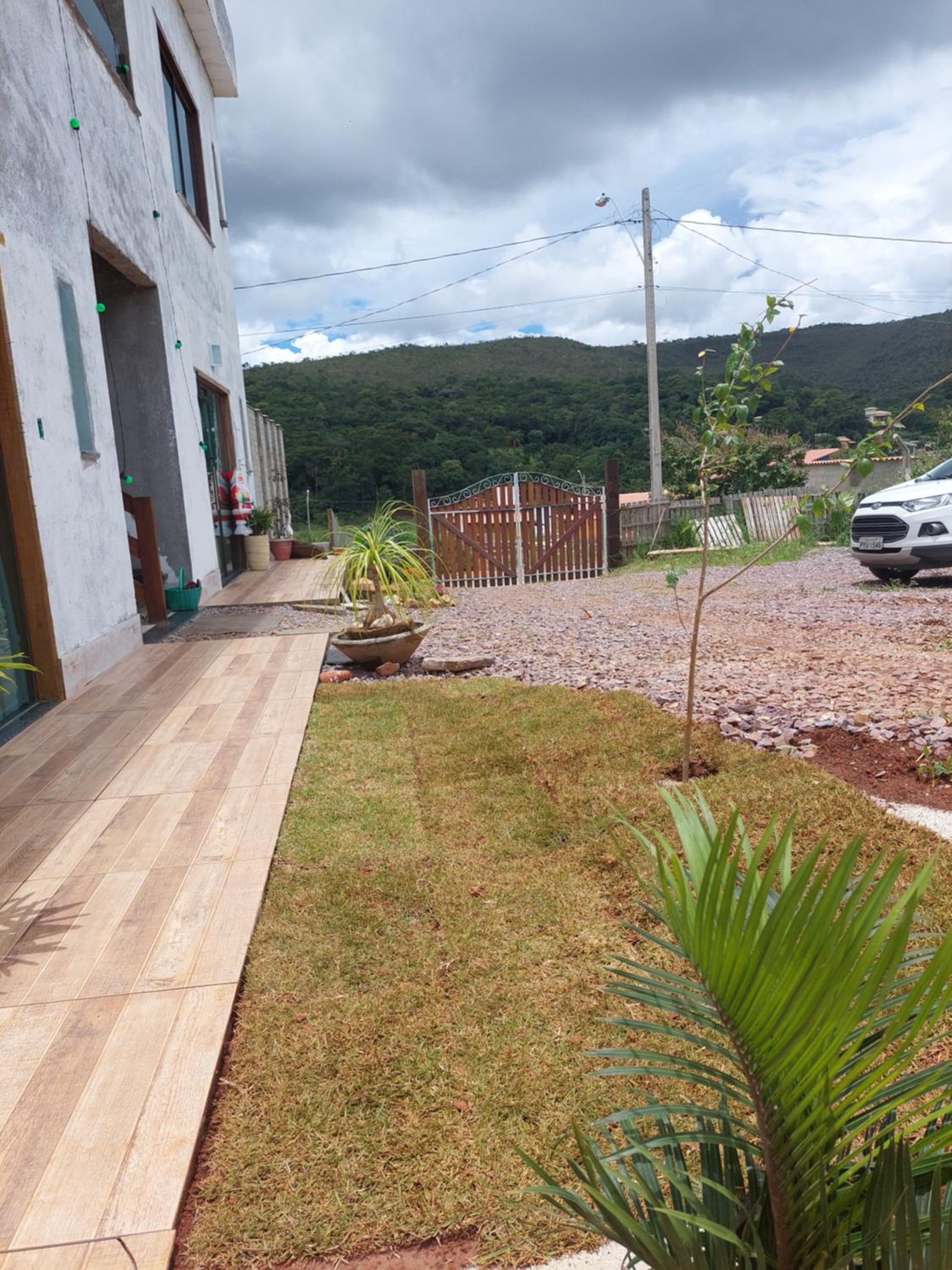 Águia Serra do cipó-Fiote