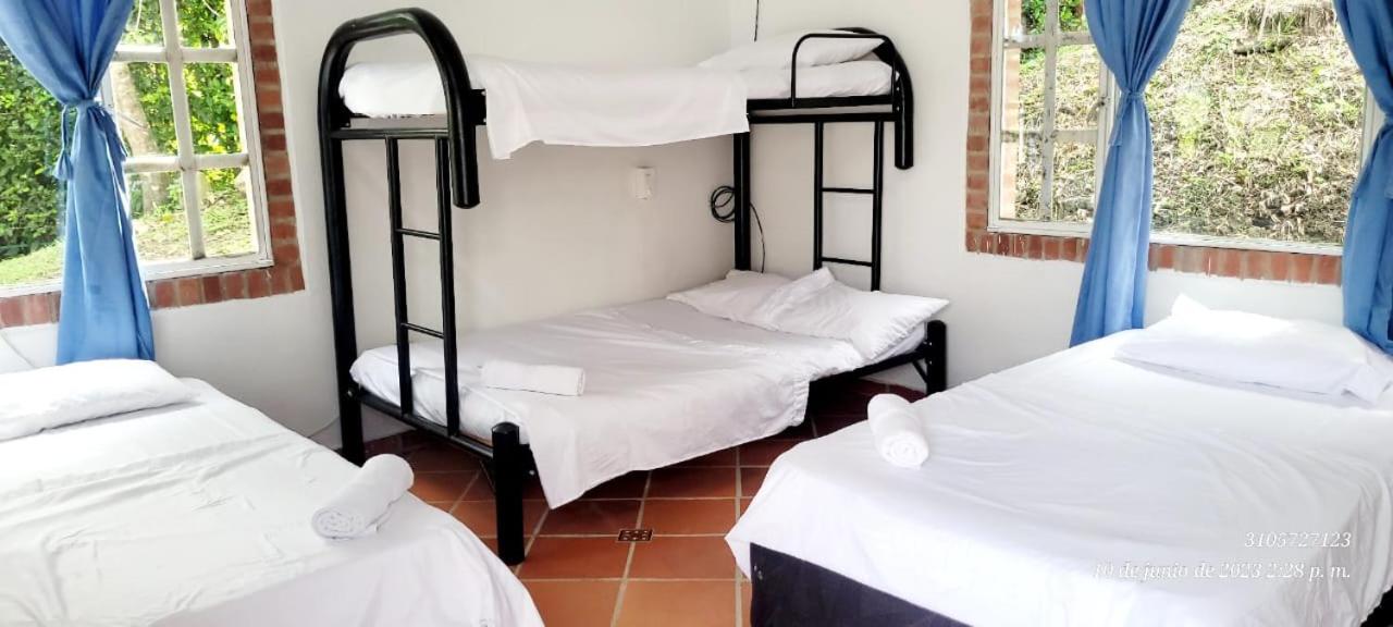 RICHYSTORE and Luna Nueva Summer House