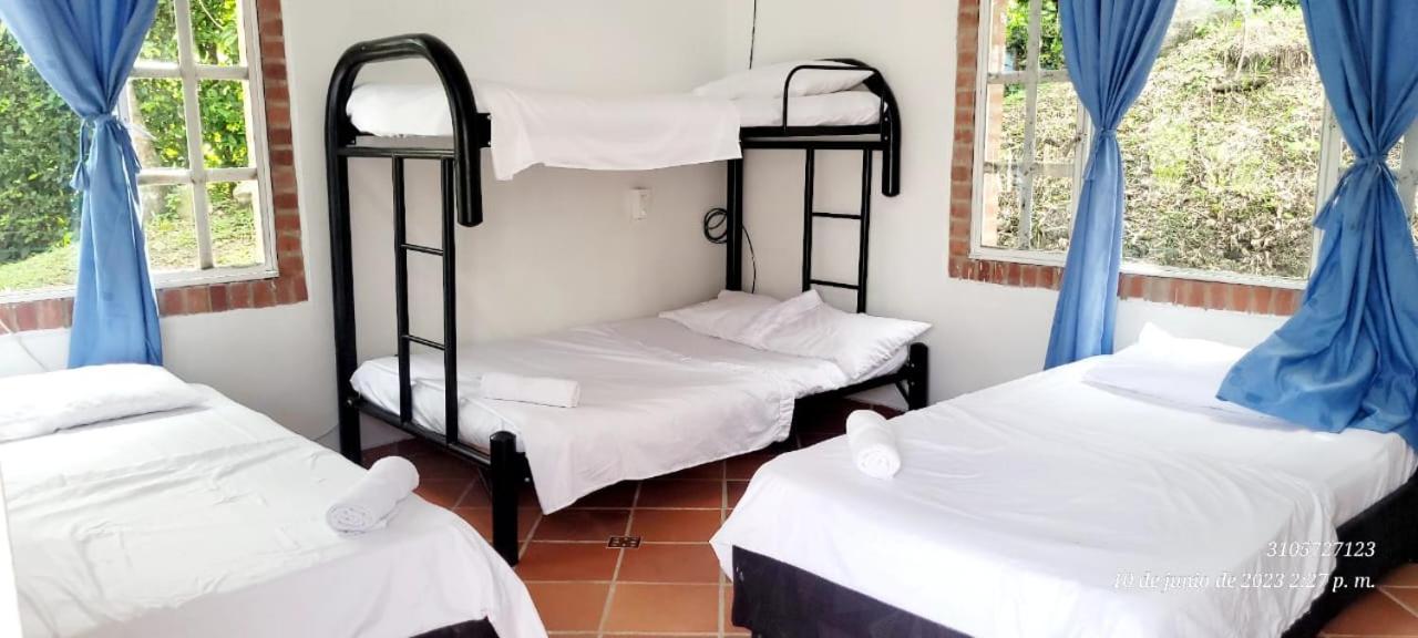 RICHYSTORE and Luna Nueva Summer House