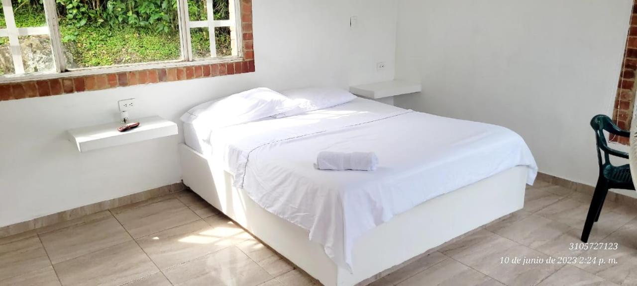 RICHYSTORE and Luna Nueva Summer House
