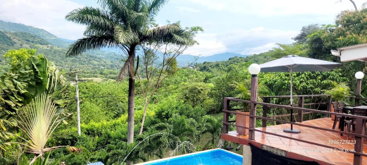 RICHYSTORE and Luna Nueva Summer House
