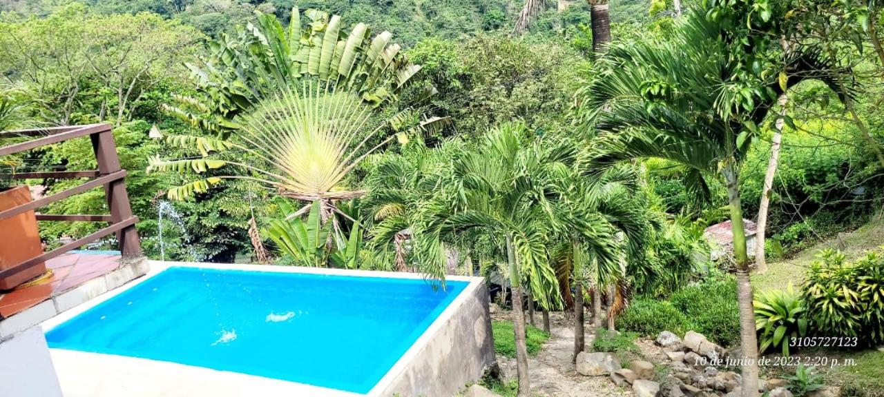 RICHYSTORE and Luna Nueva Summer House