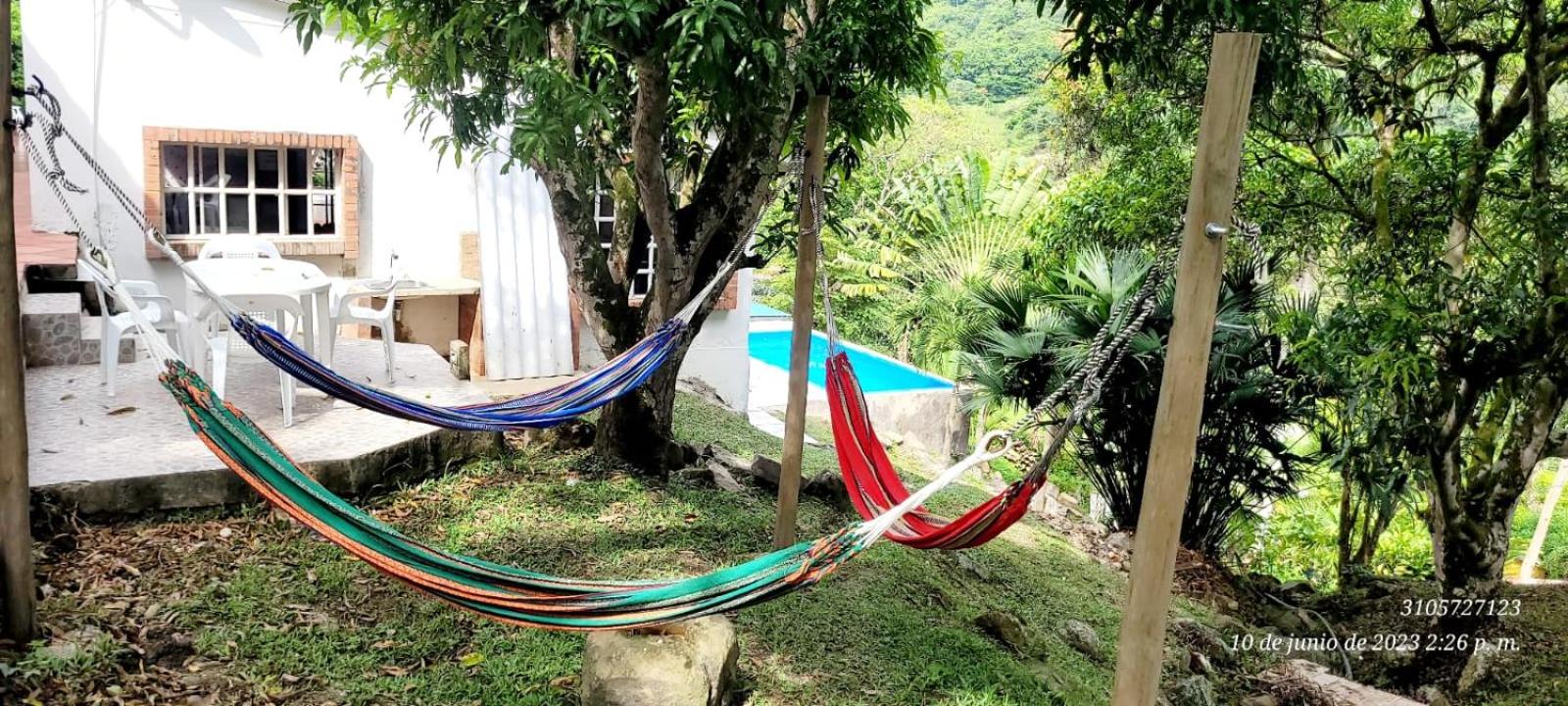 RICHYSTORE and Luna Nueva Summer House