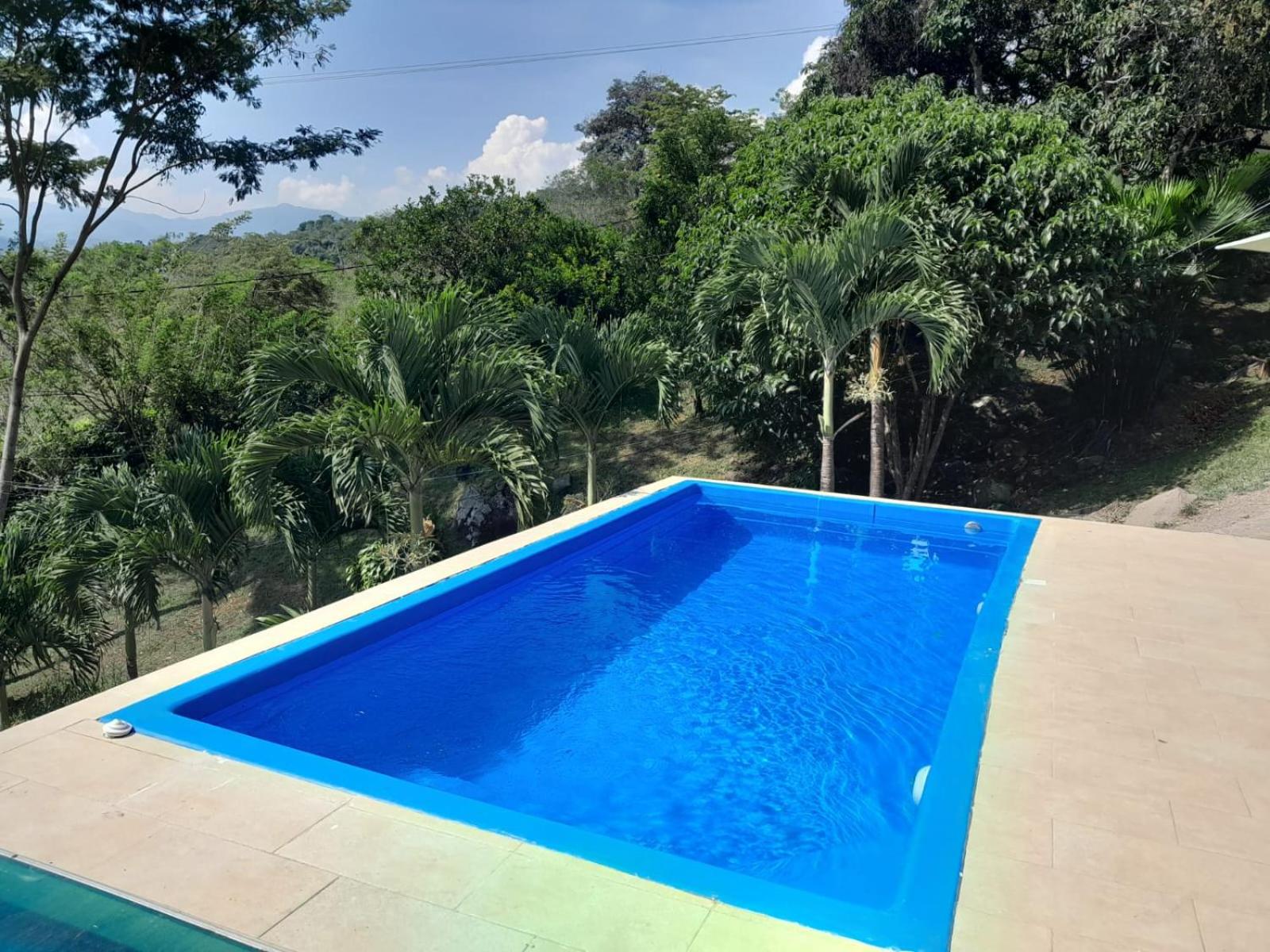 RICHYSTORE and Luna Nueva Summer House