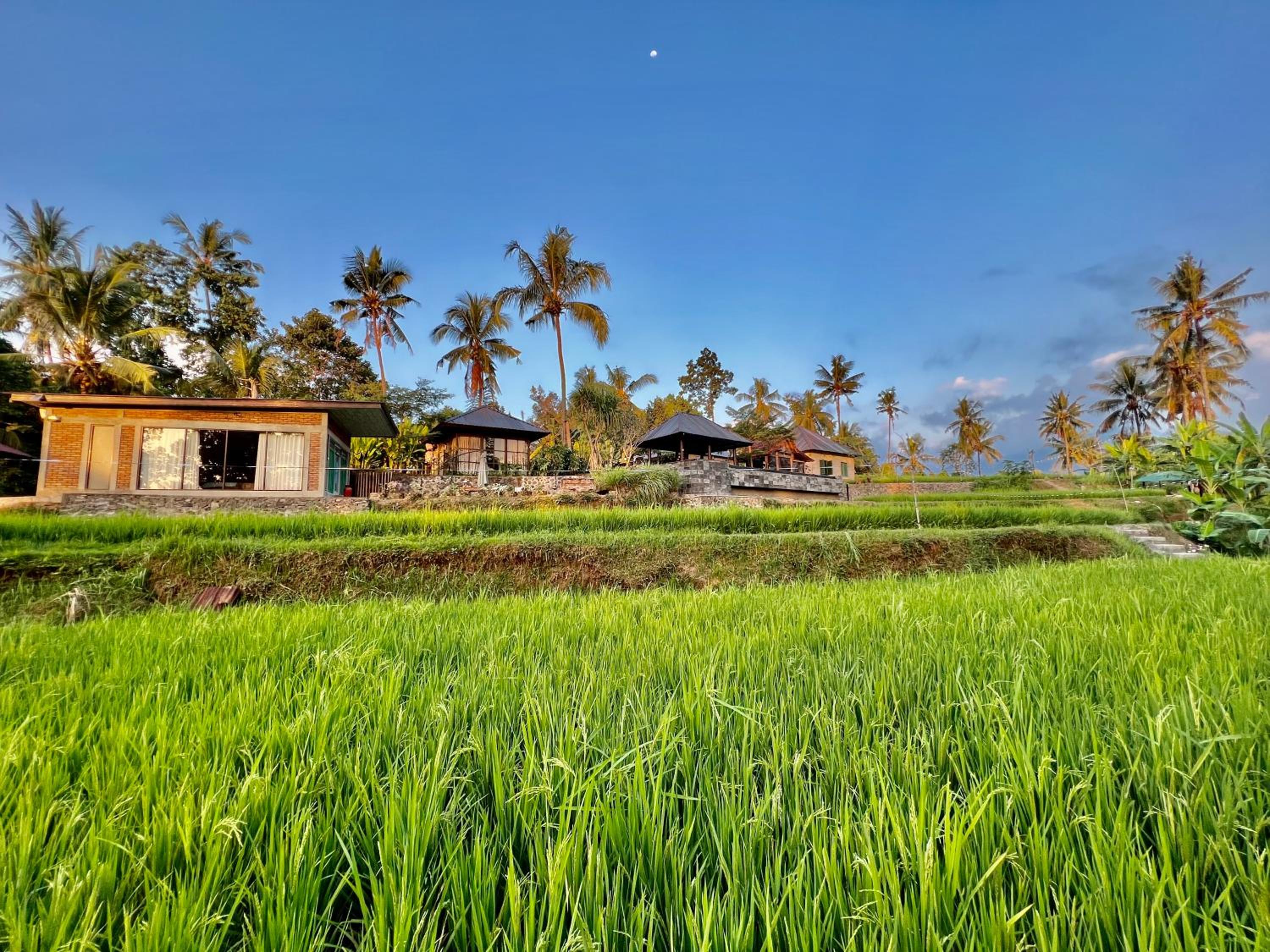 Rumah Hadeka sawan