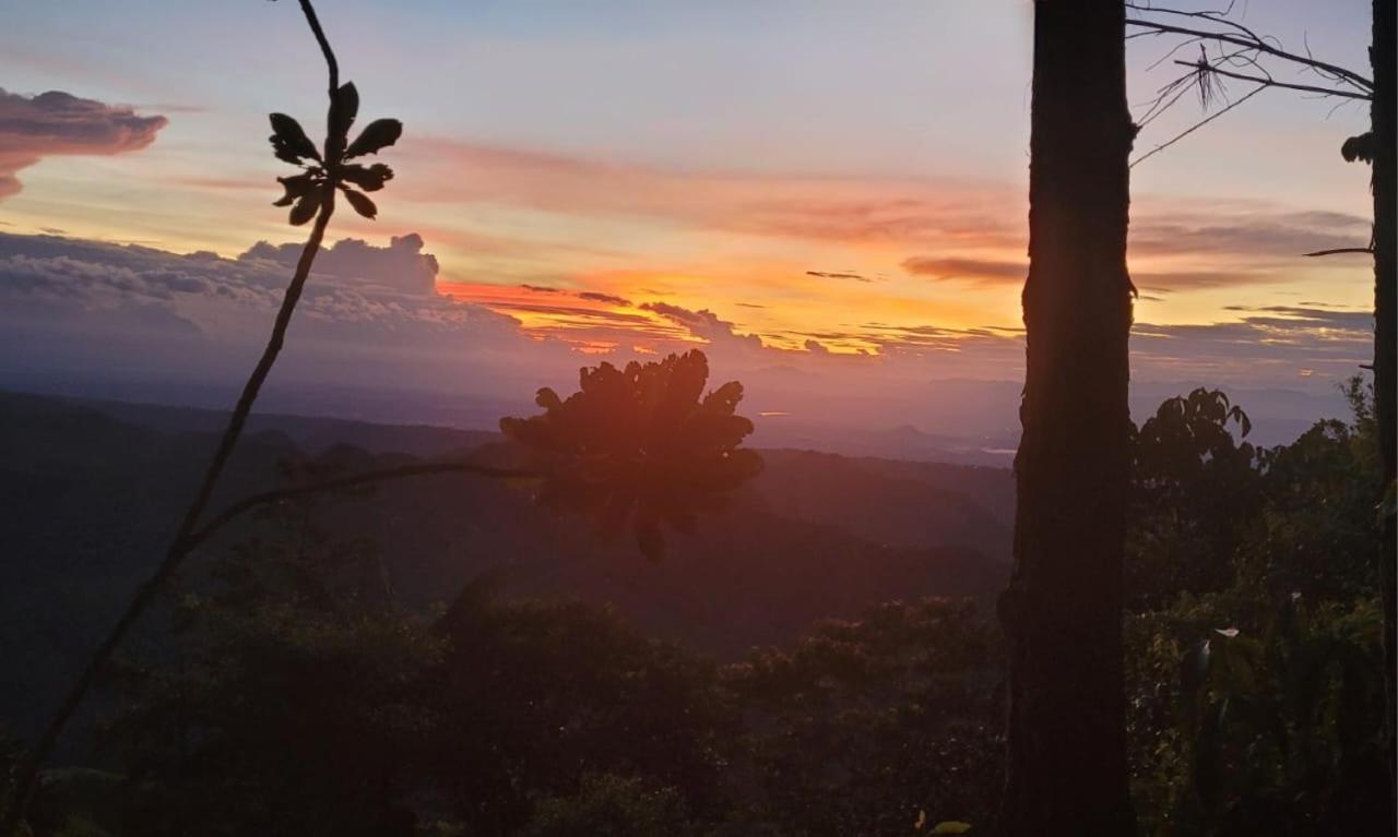 Casa Mostaza-Ecolodge