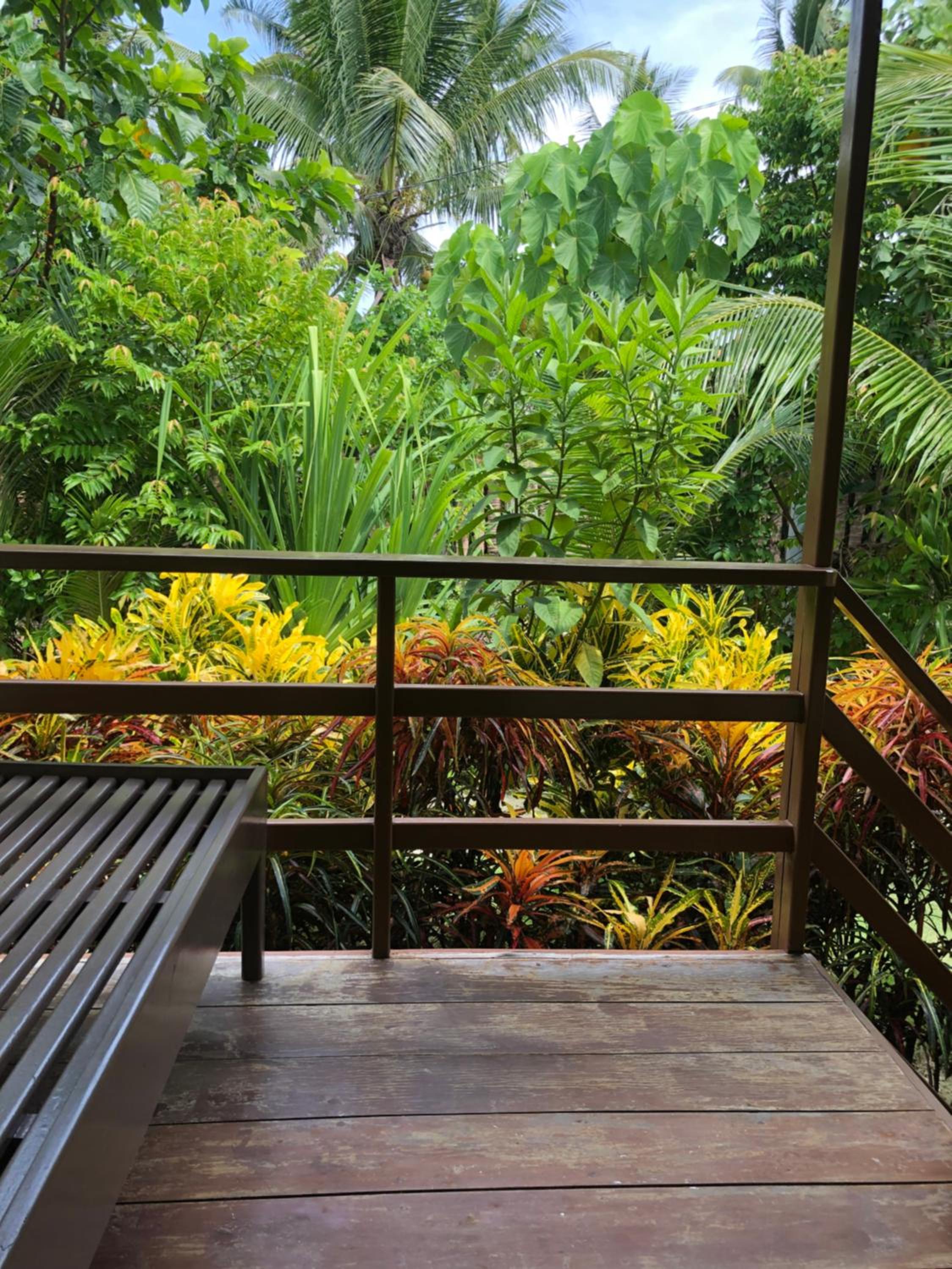 Coracasa bed and breakfast view 5