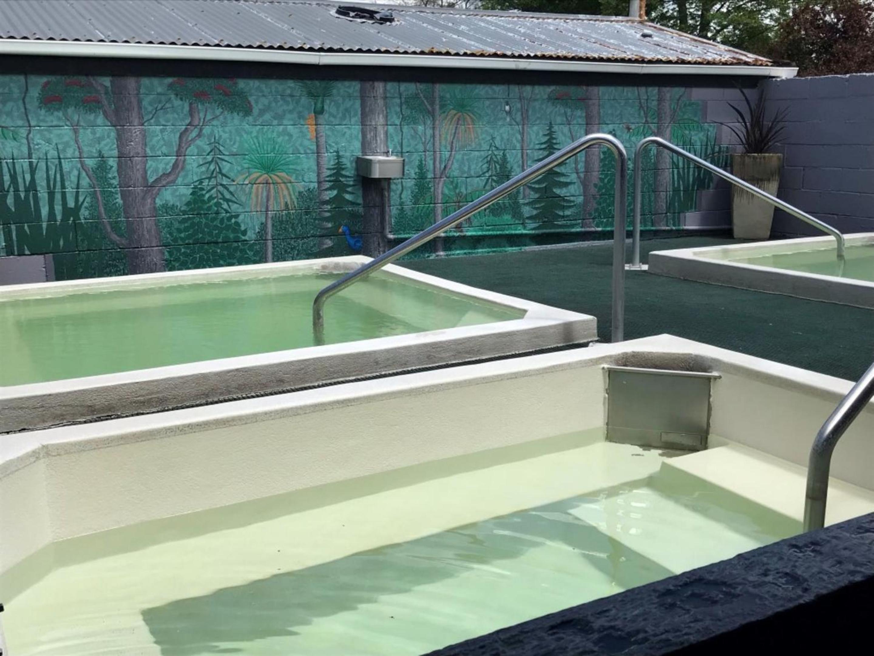 Rotorua Thermal Holiday Park