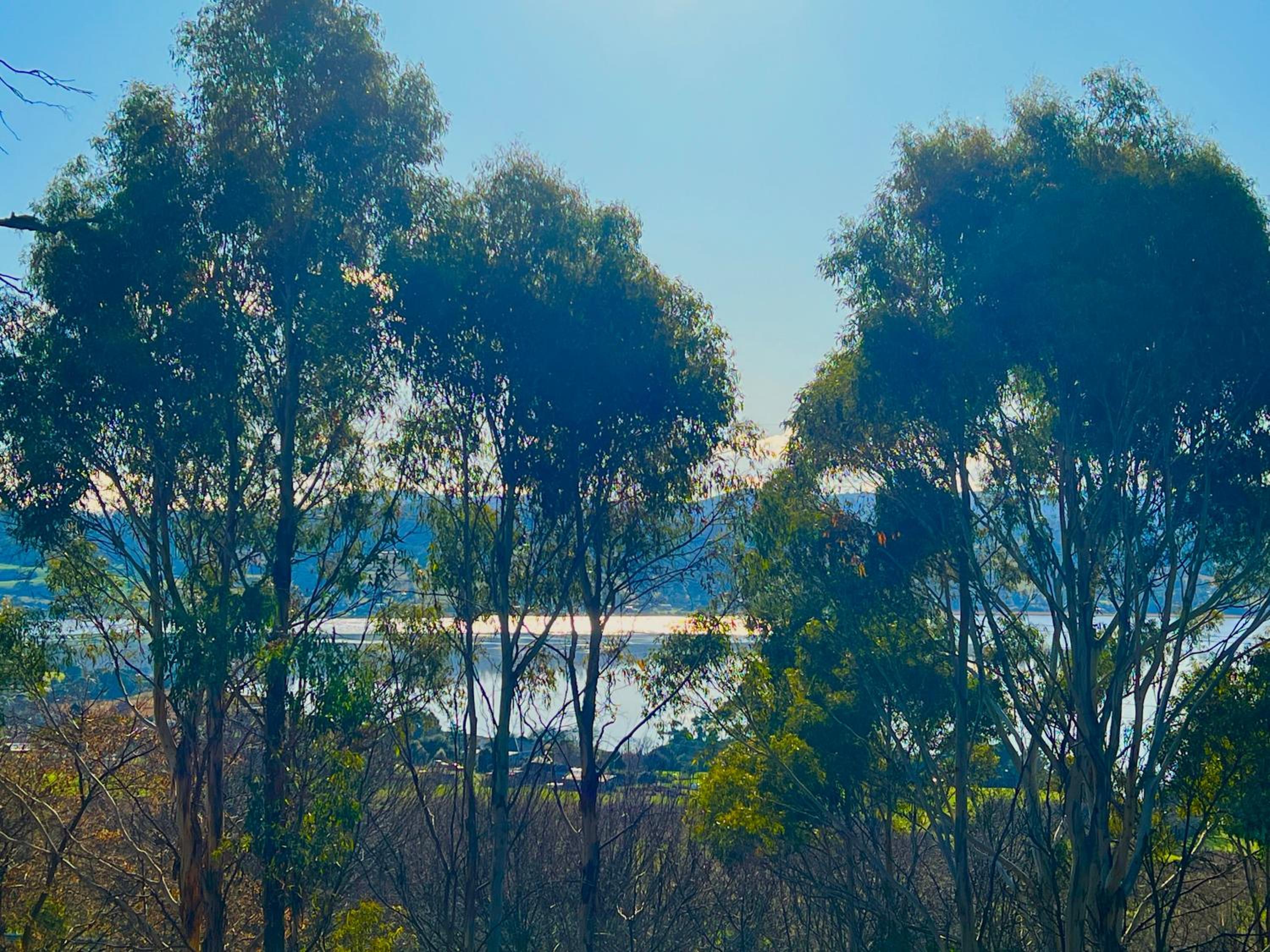 Cloud Nine Apartment @ Tamar Ridge