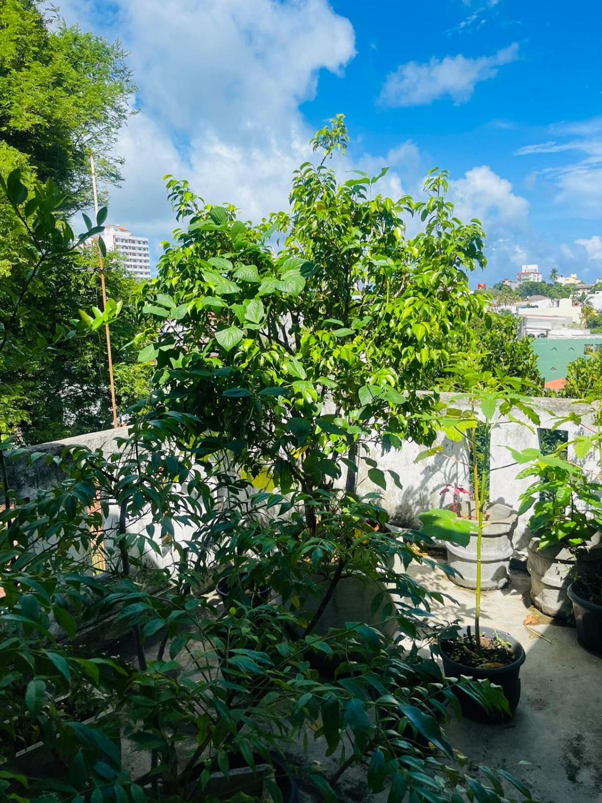 Sithila Villa