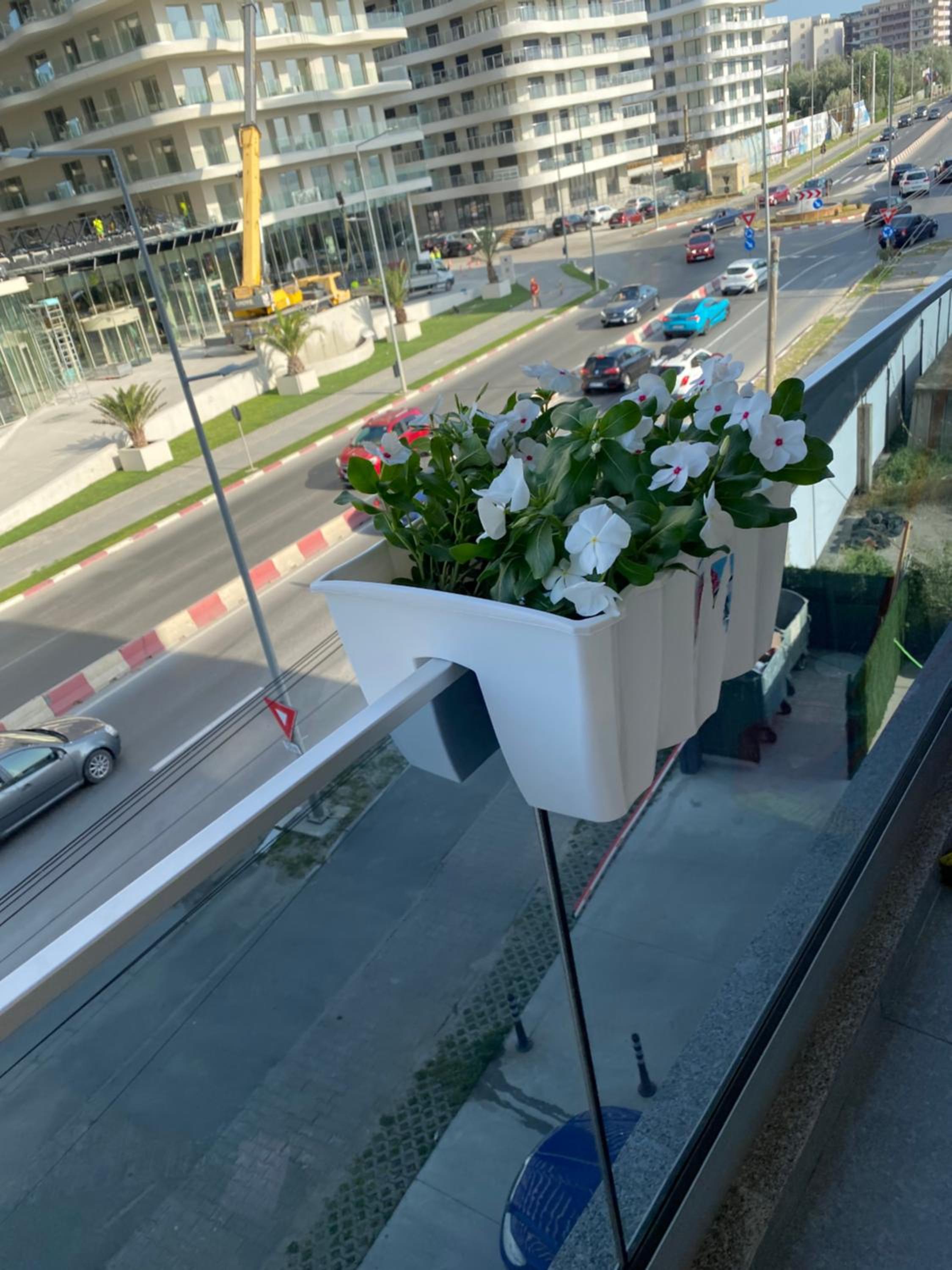 Apartament Tino
