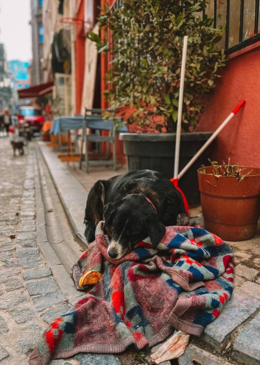 Balat Historical House
