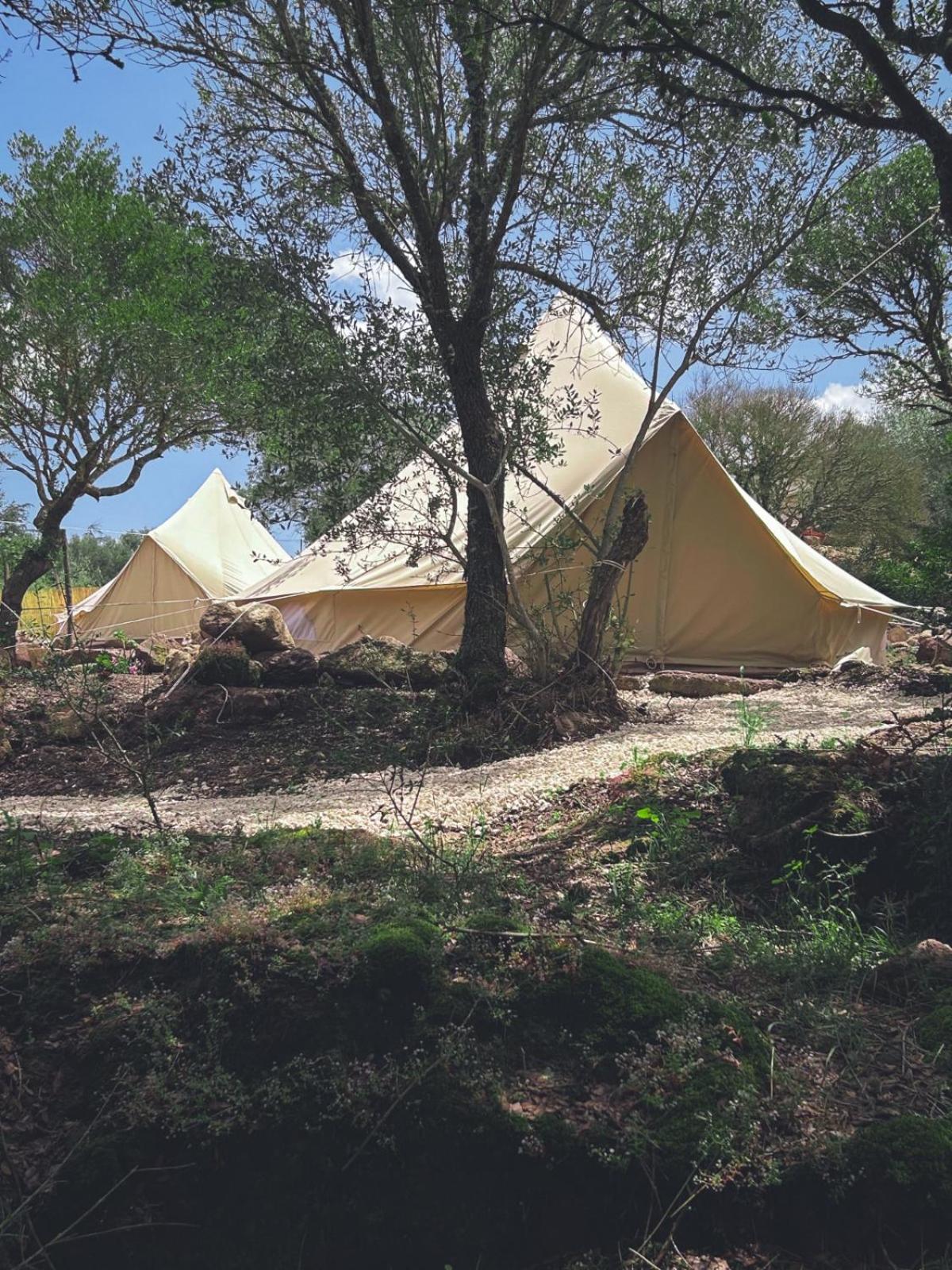 Pasare Glamping_AnglonaRuralExperience
