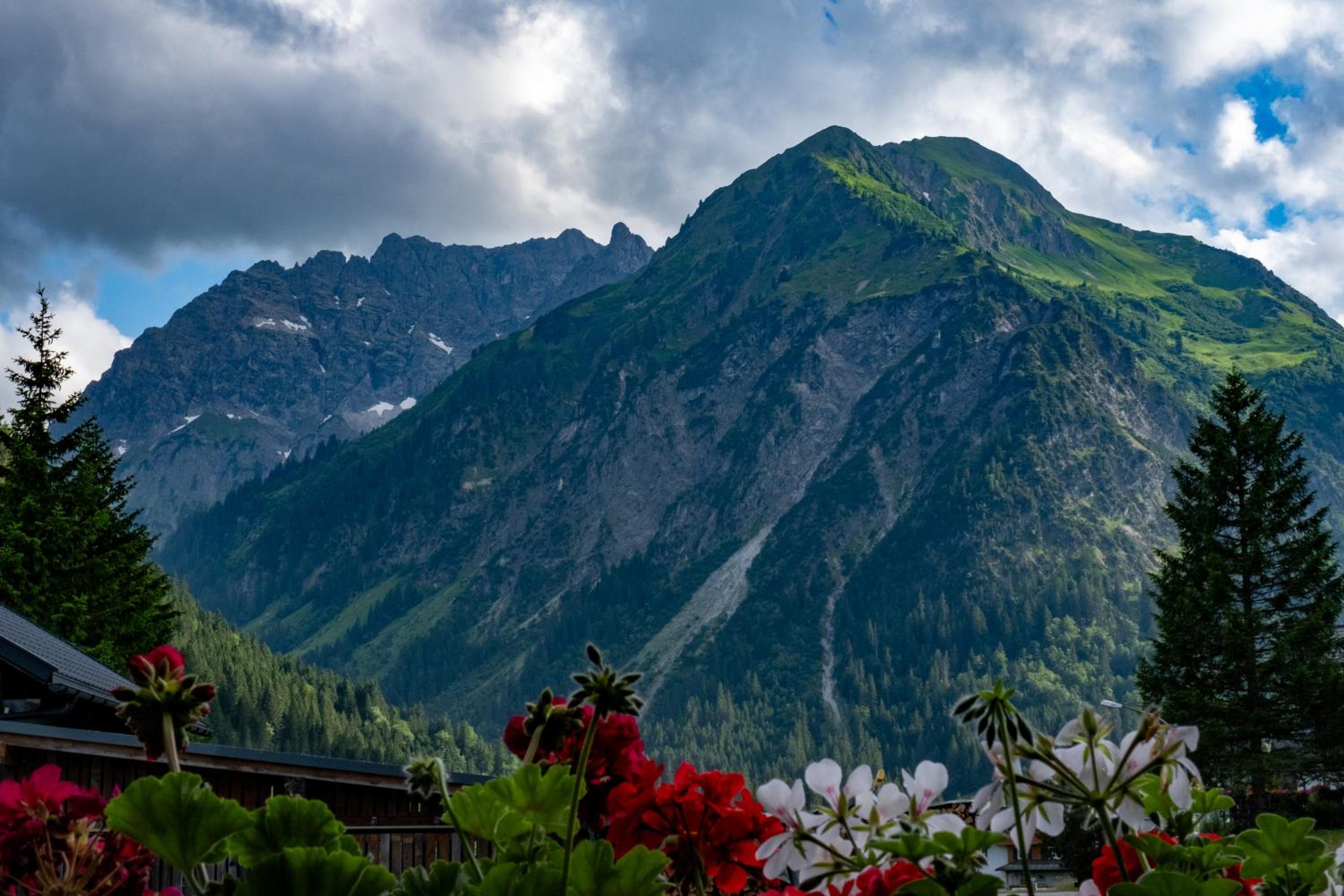 Walser Berge Appartements