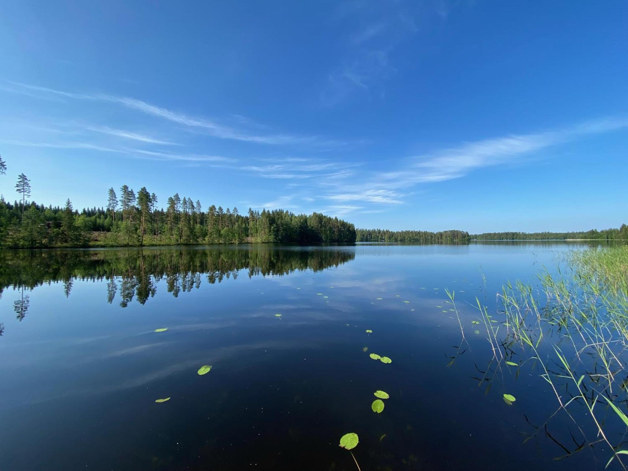 Villa Siikakoski