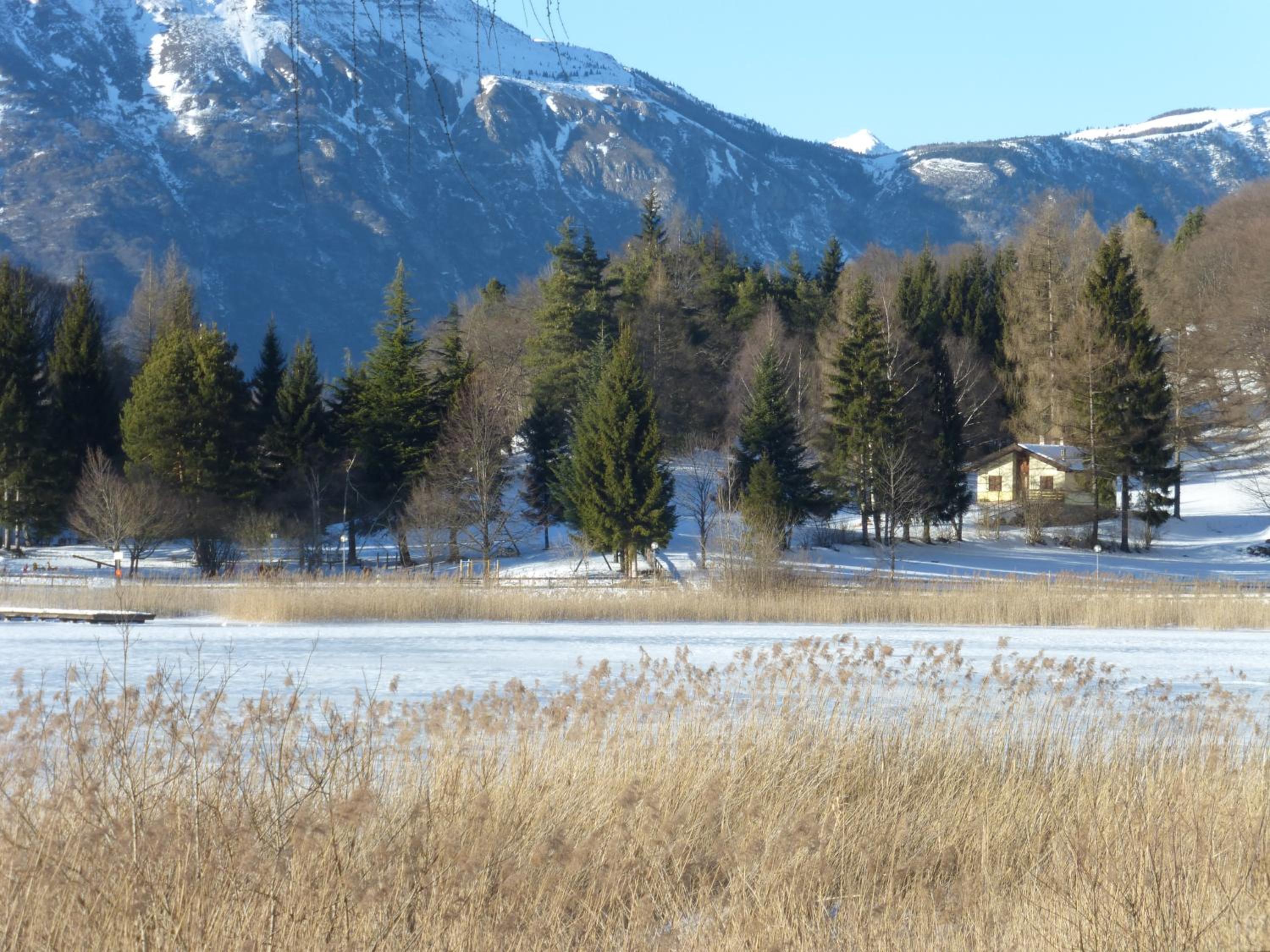 Photo 47
