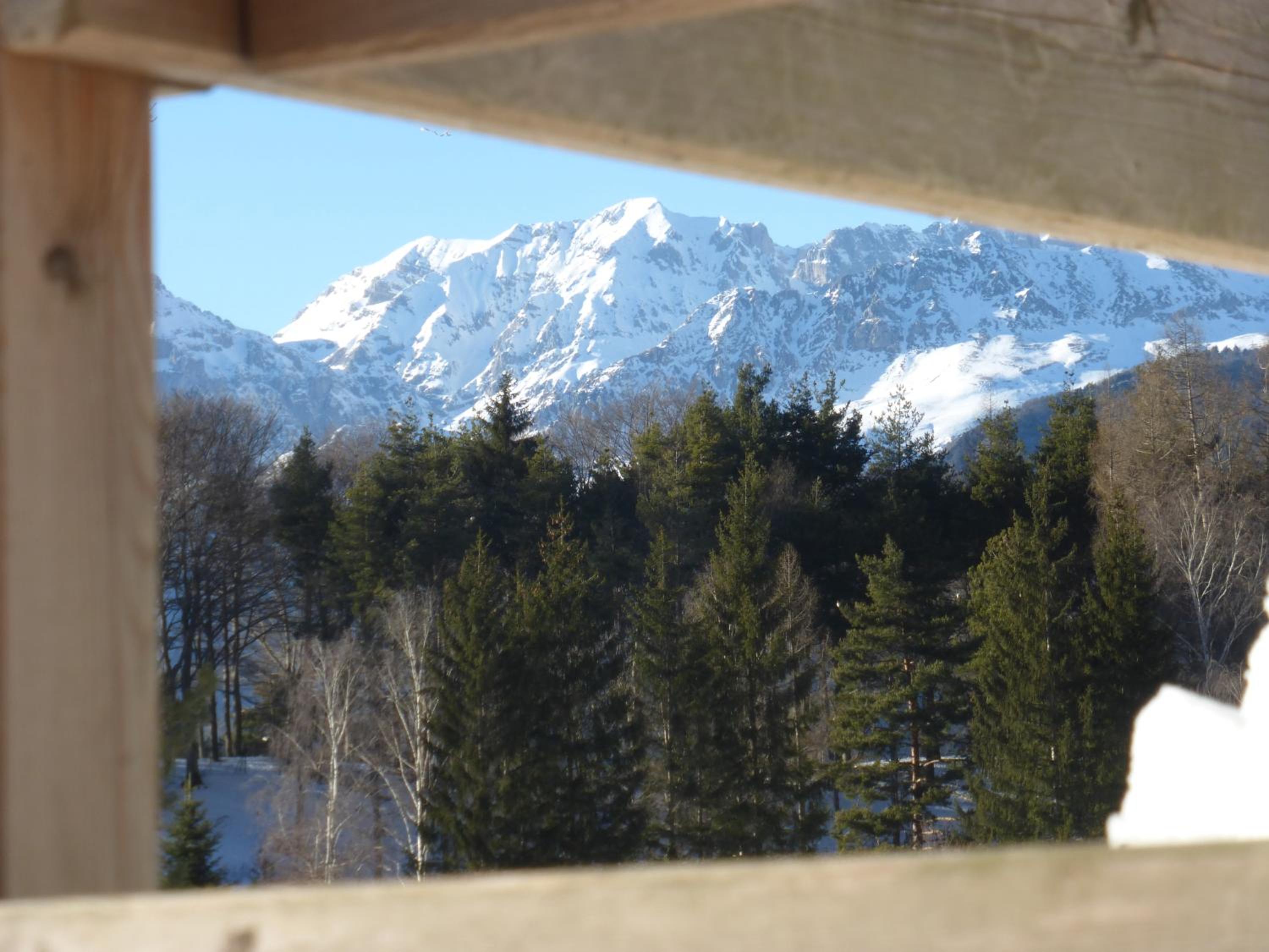 Photo 46