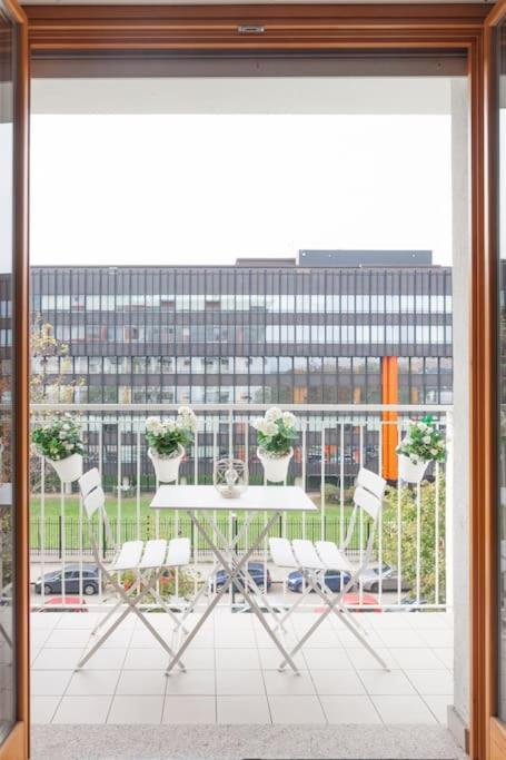 comfort zone politecnico suite
