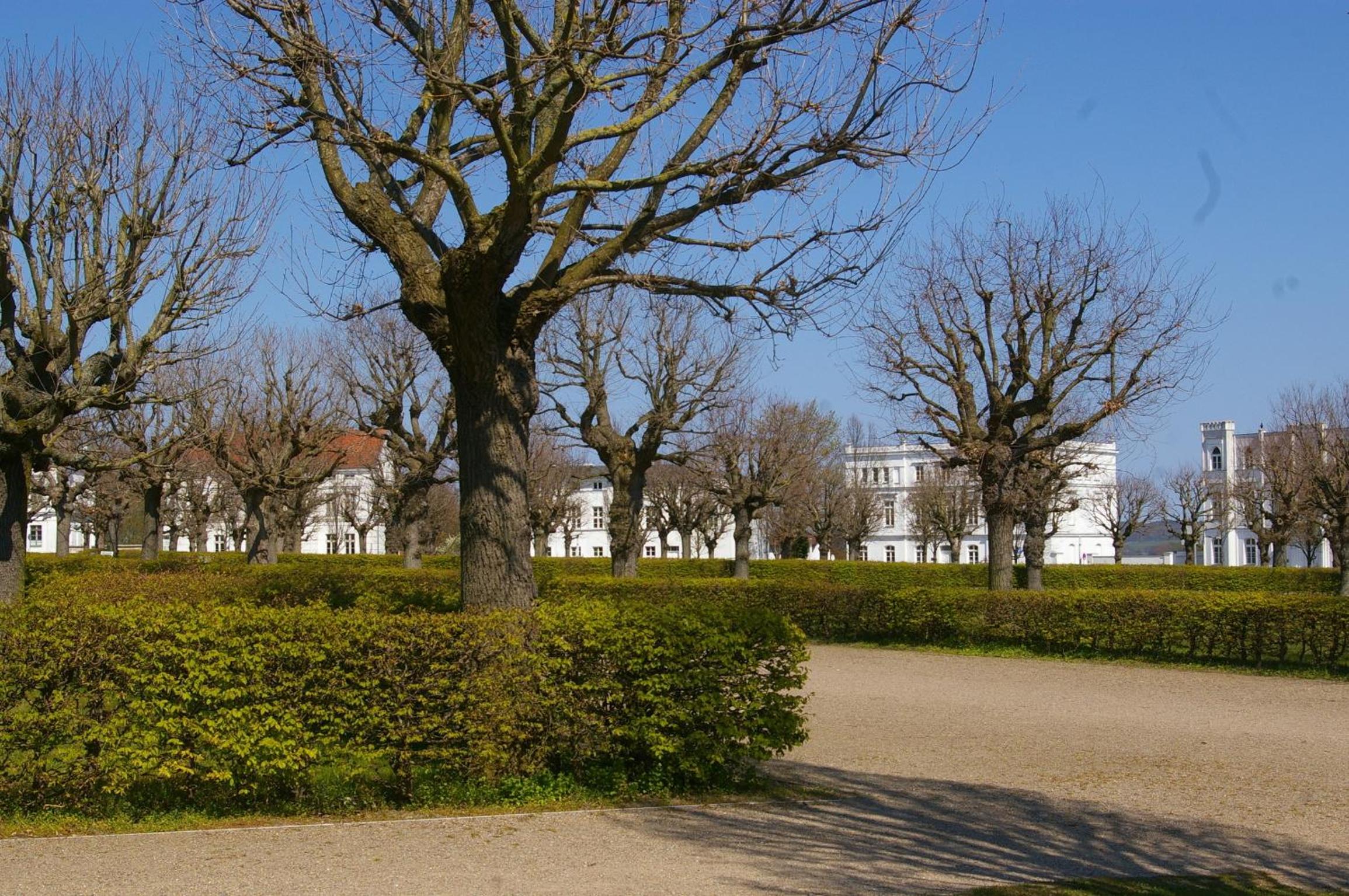 Ferienwohnung Schwalbennest