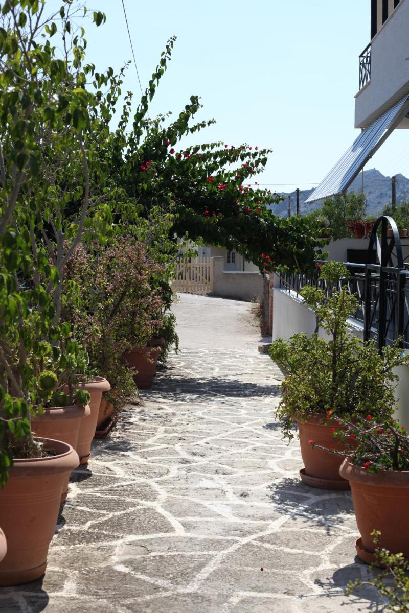 Photo 45