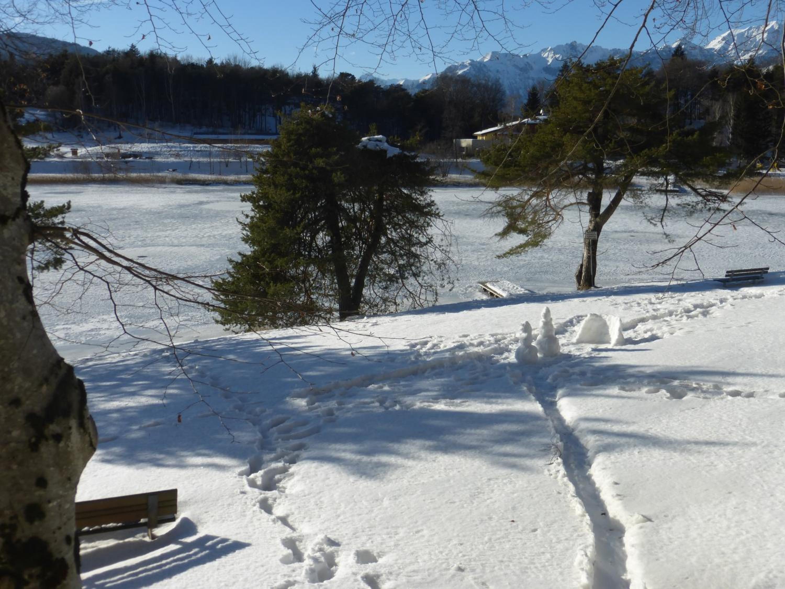 Photo 44