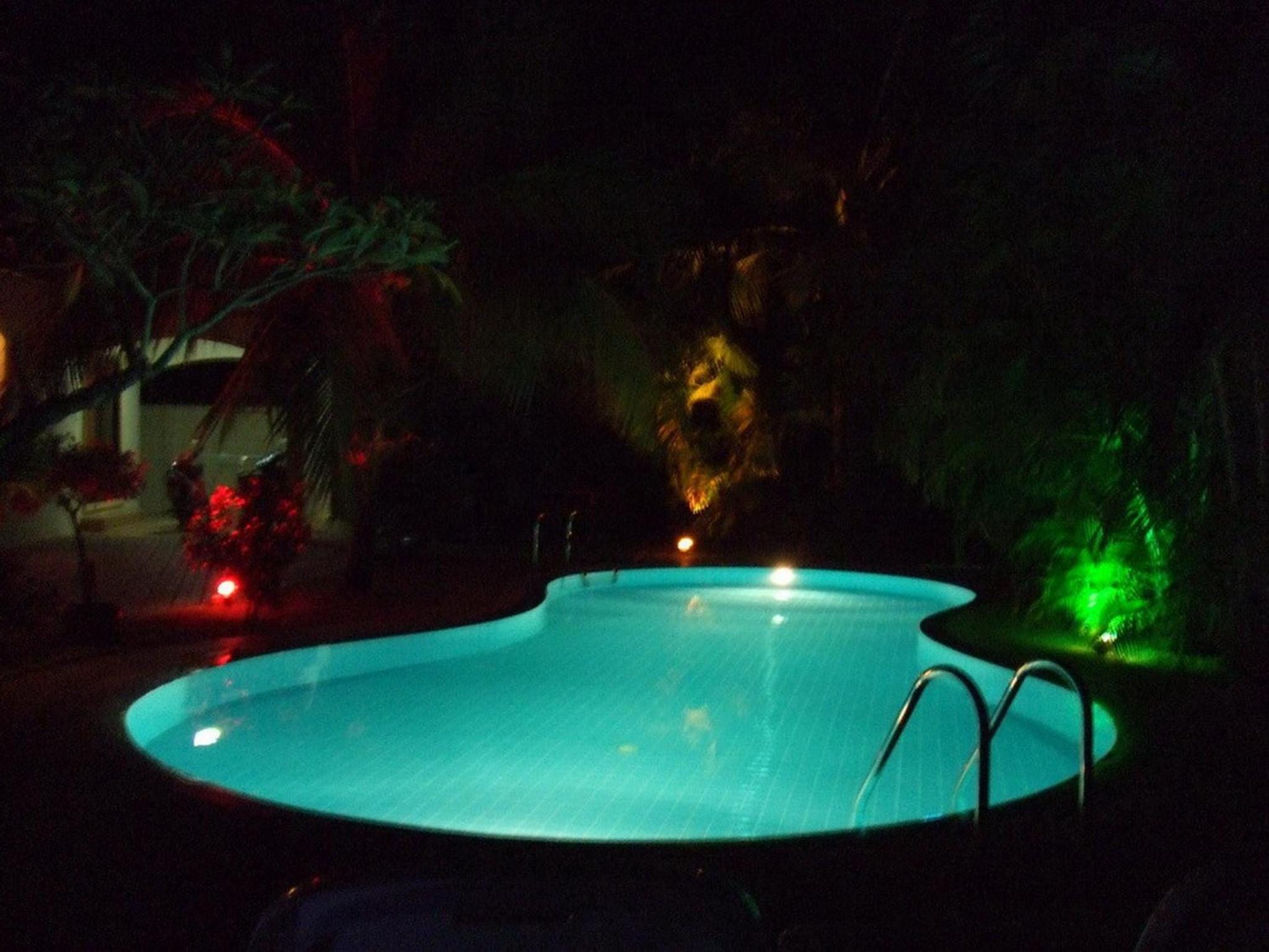 Coconut Paradise Holiday Villas
