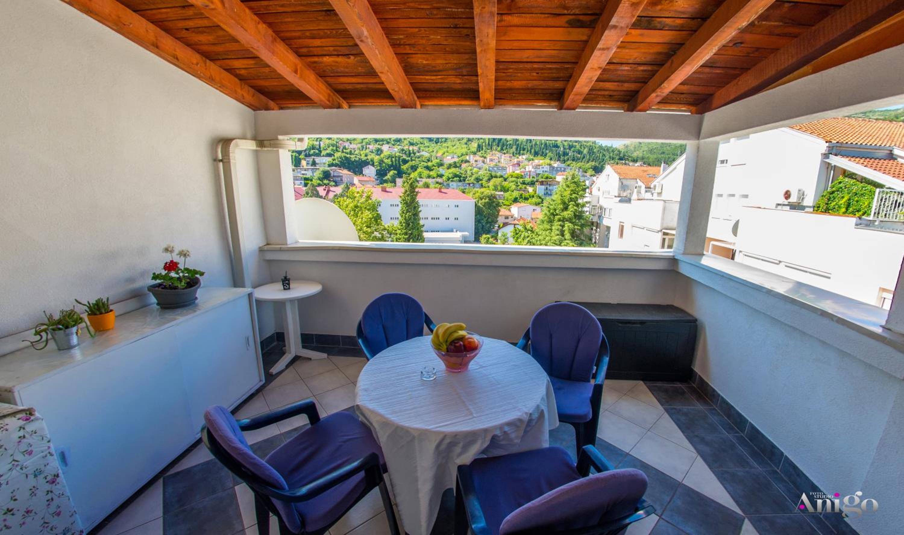 City Delight Apartment