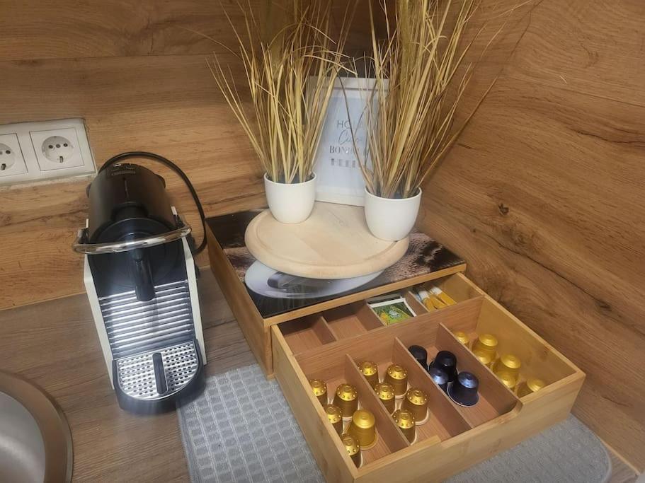 Exklusive Gartenwohnung