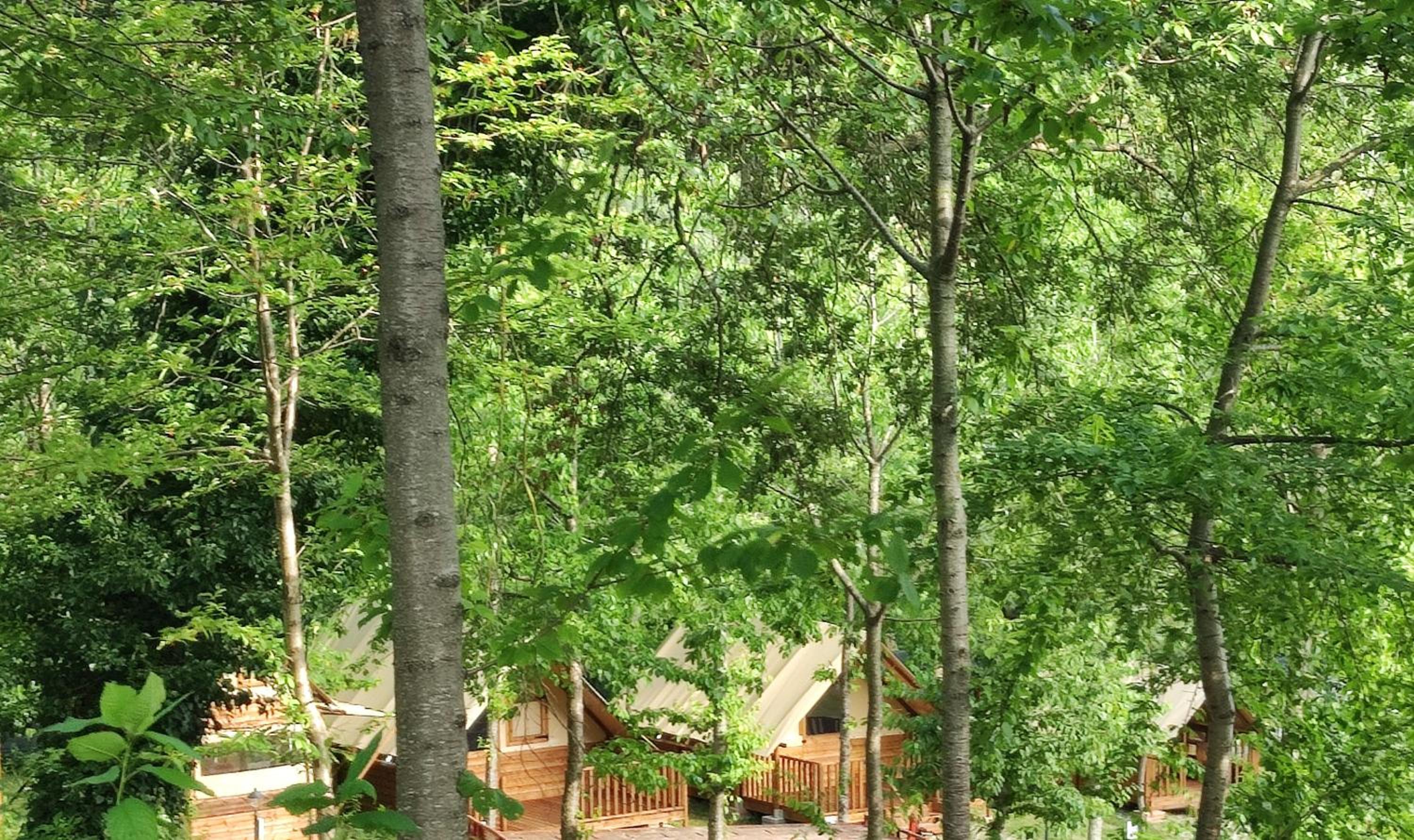Saecula Natural Village Experience