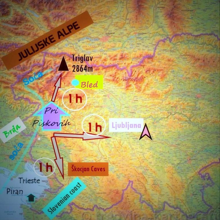 Photo 45