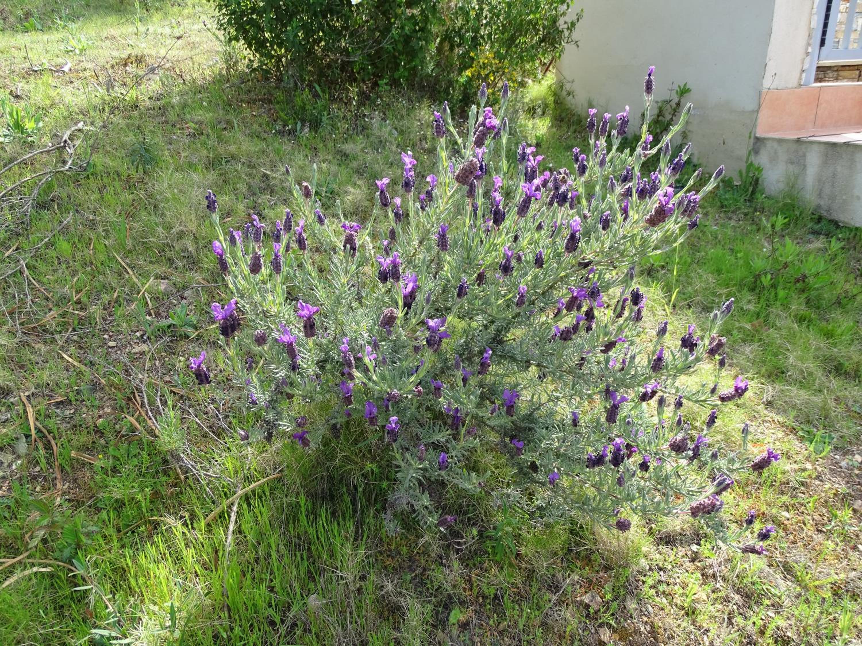 Photo 17