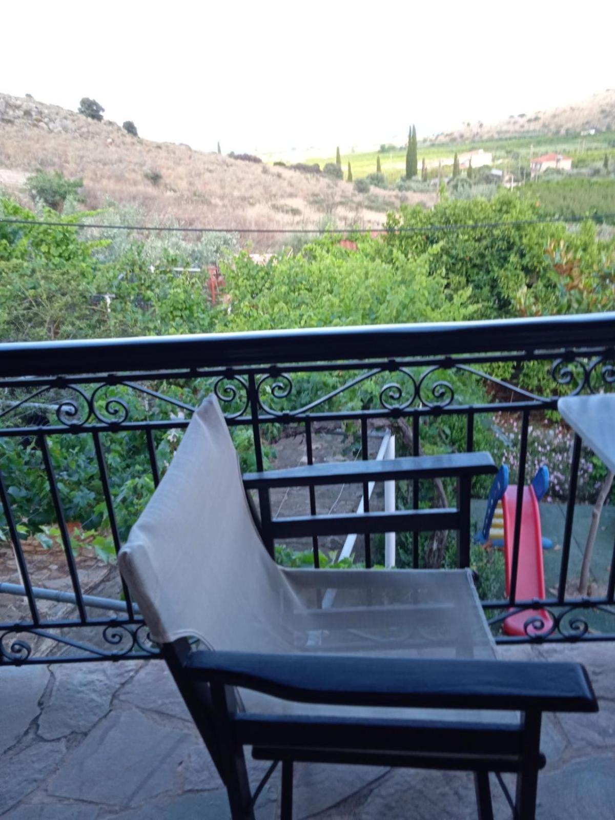 Photo 42