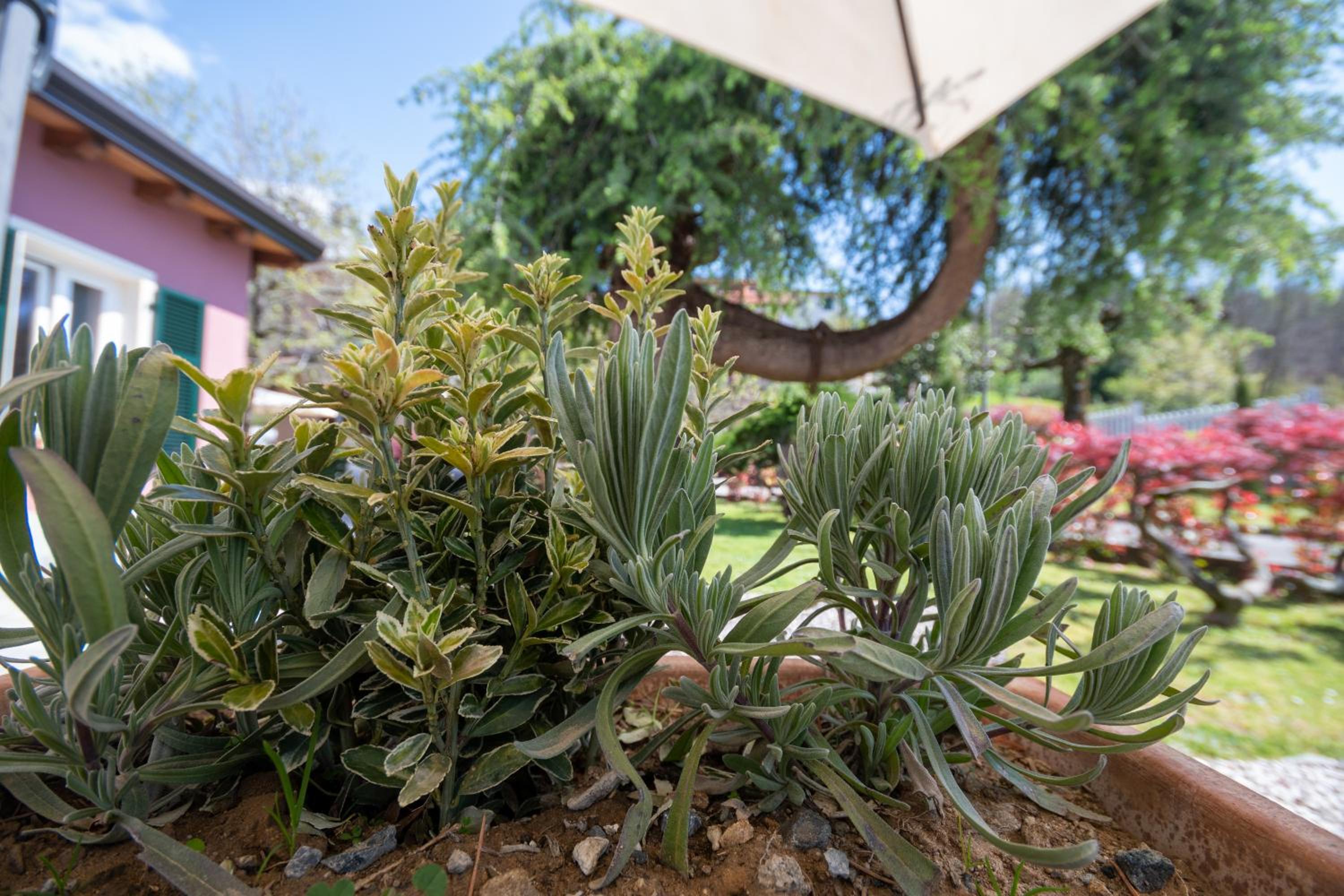 La Casetta - Property Image 8