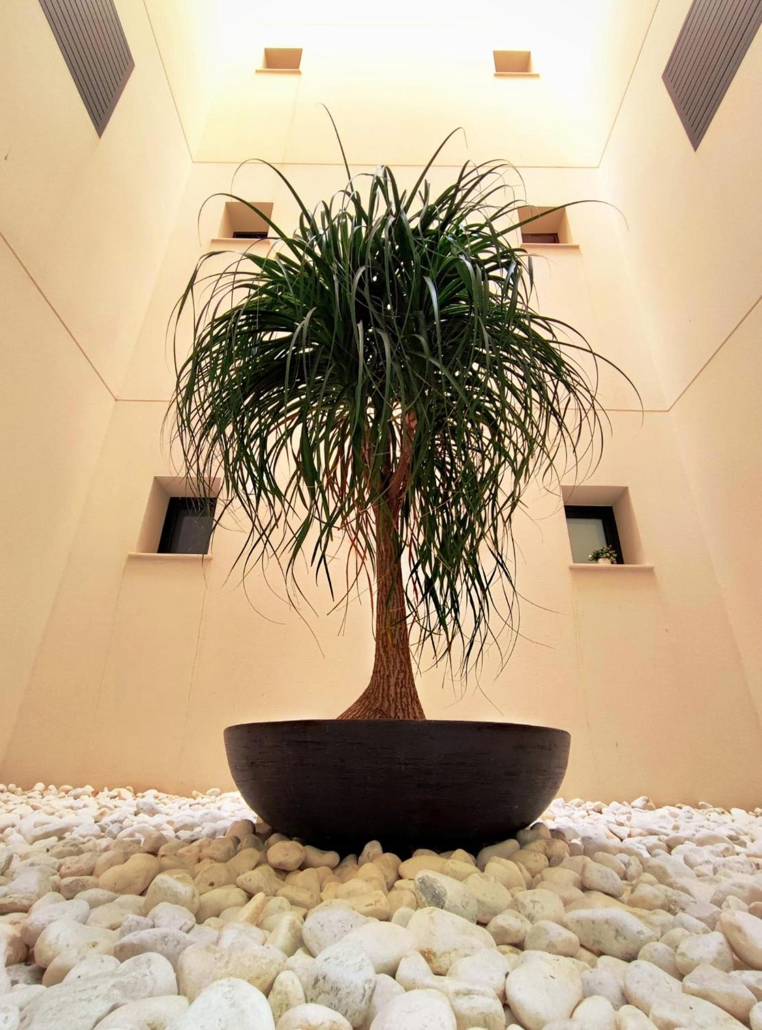 Elegante apartamento en Jardines de Montesolana