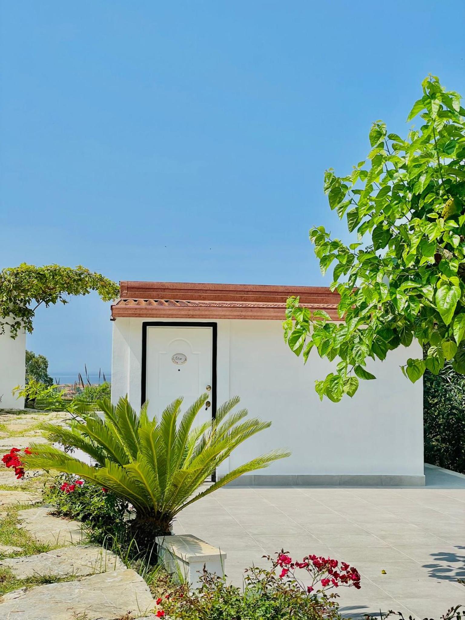 L'incanto di Nausicaa