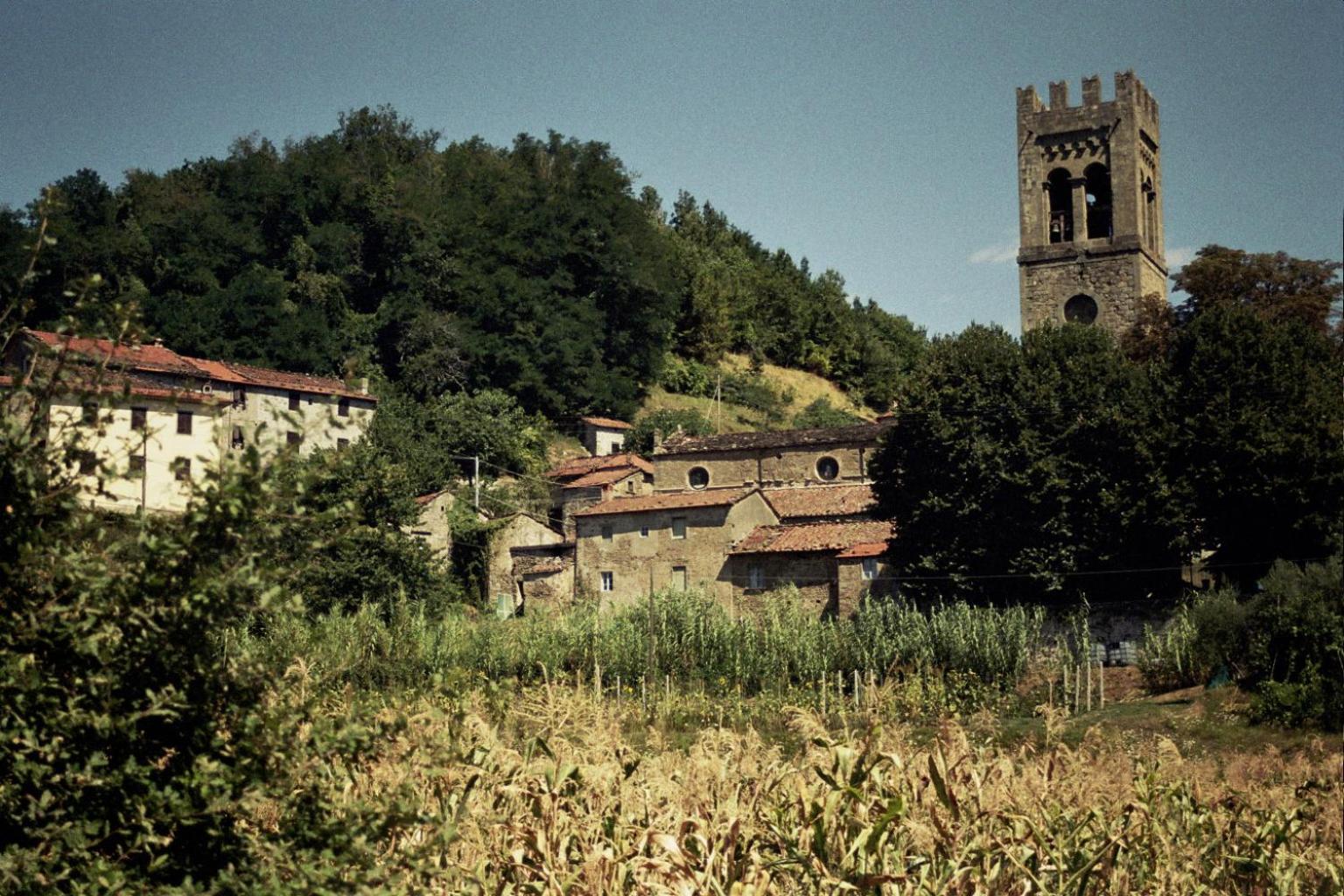 Photo 12
