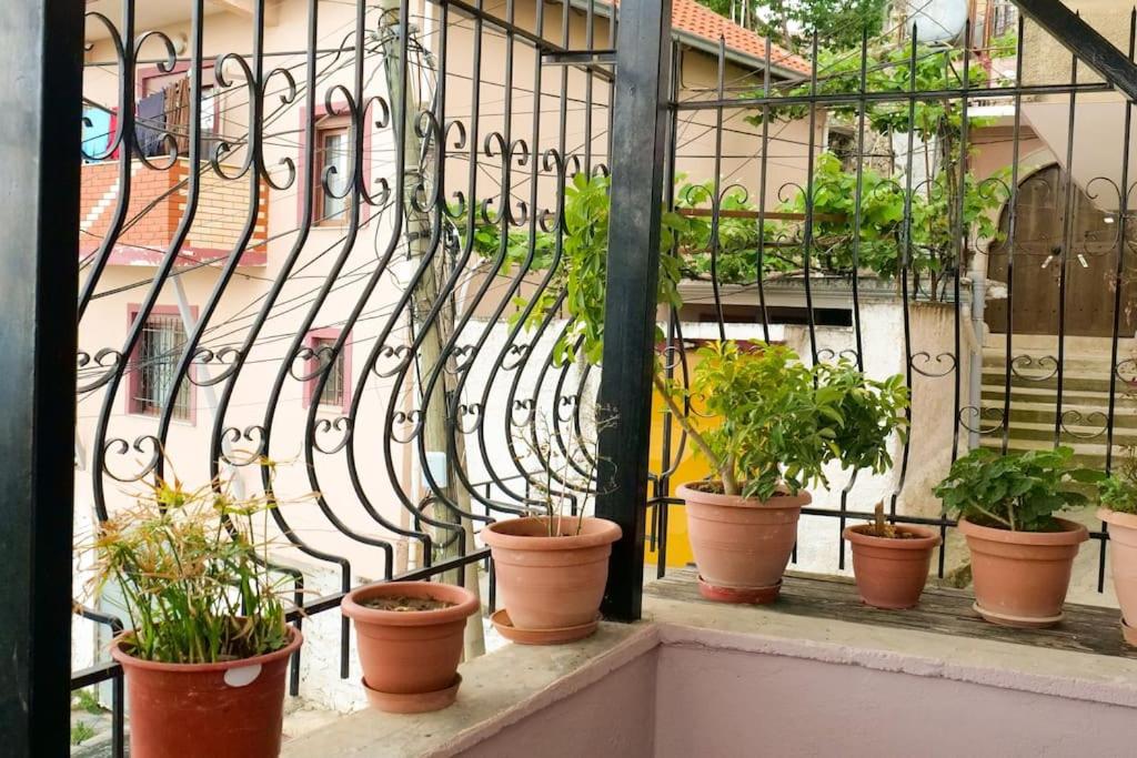 KASMI home