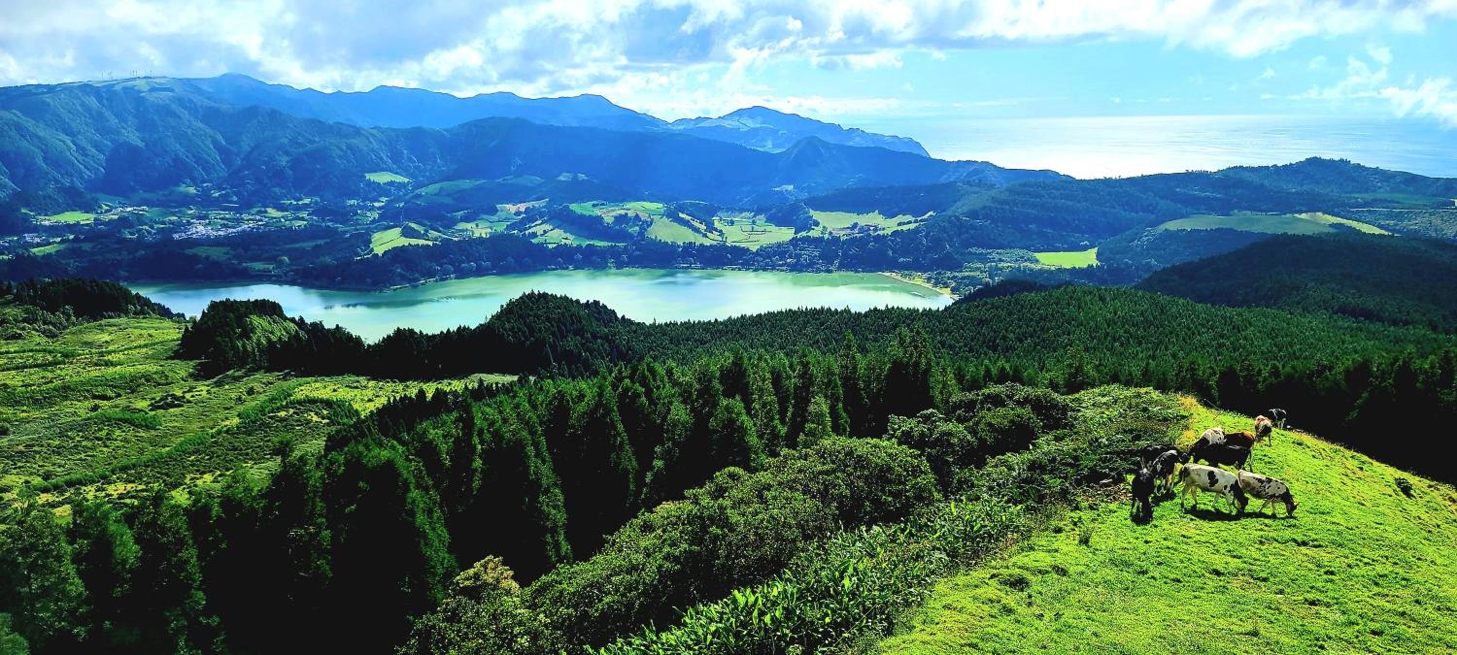 Penthouse Furnas