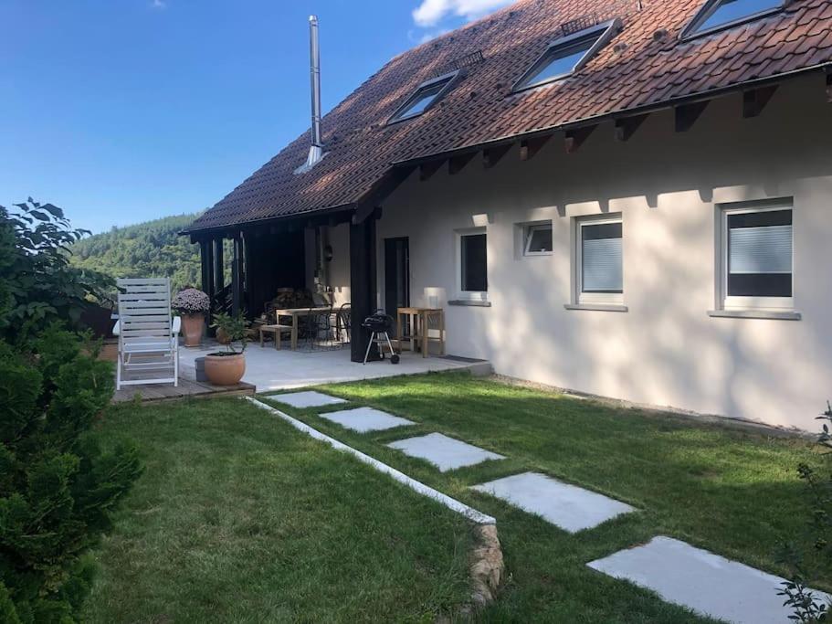 Helle große Wohnung mit grandiosem Ausblick, Terrasse und Balkon