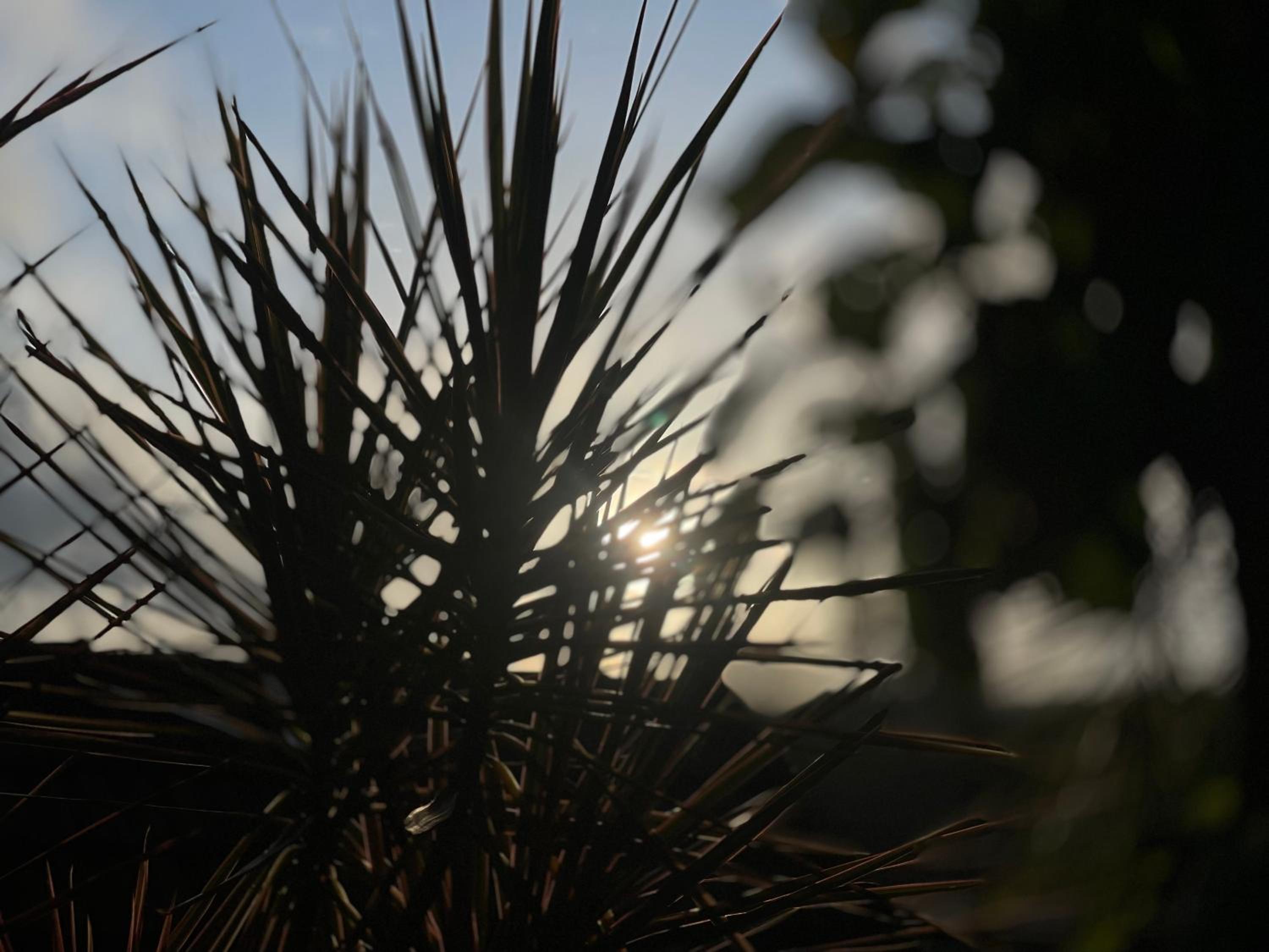 Sukrutham Farmstay