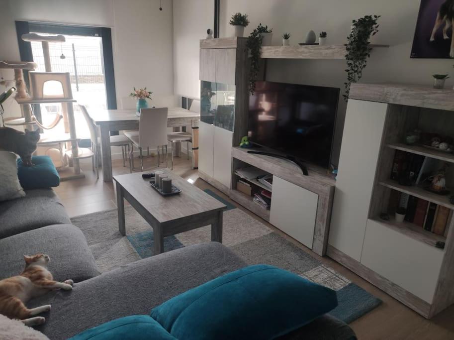 apartamento con jardín privado a 300 metros de la playa view 5