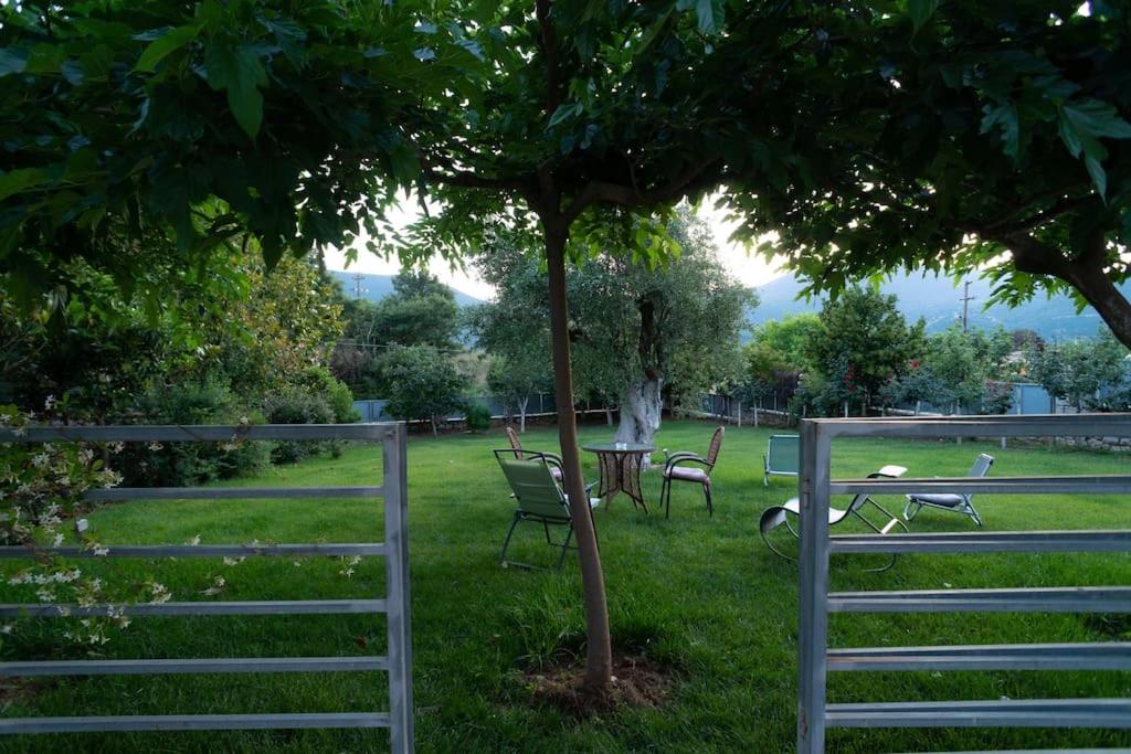 Olive Stone Villa view 2