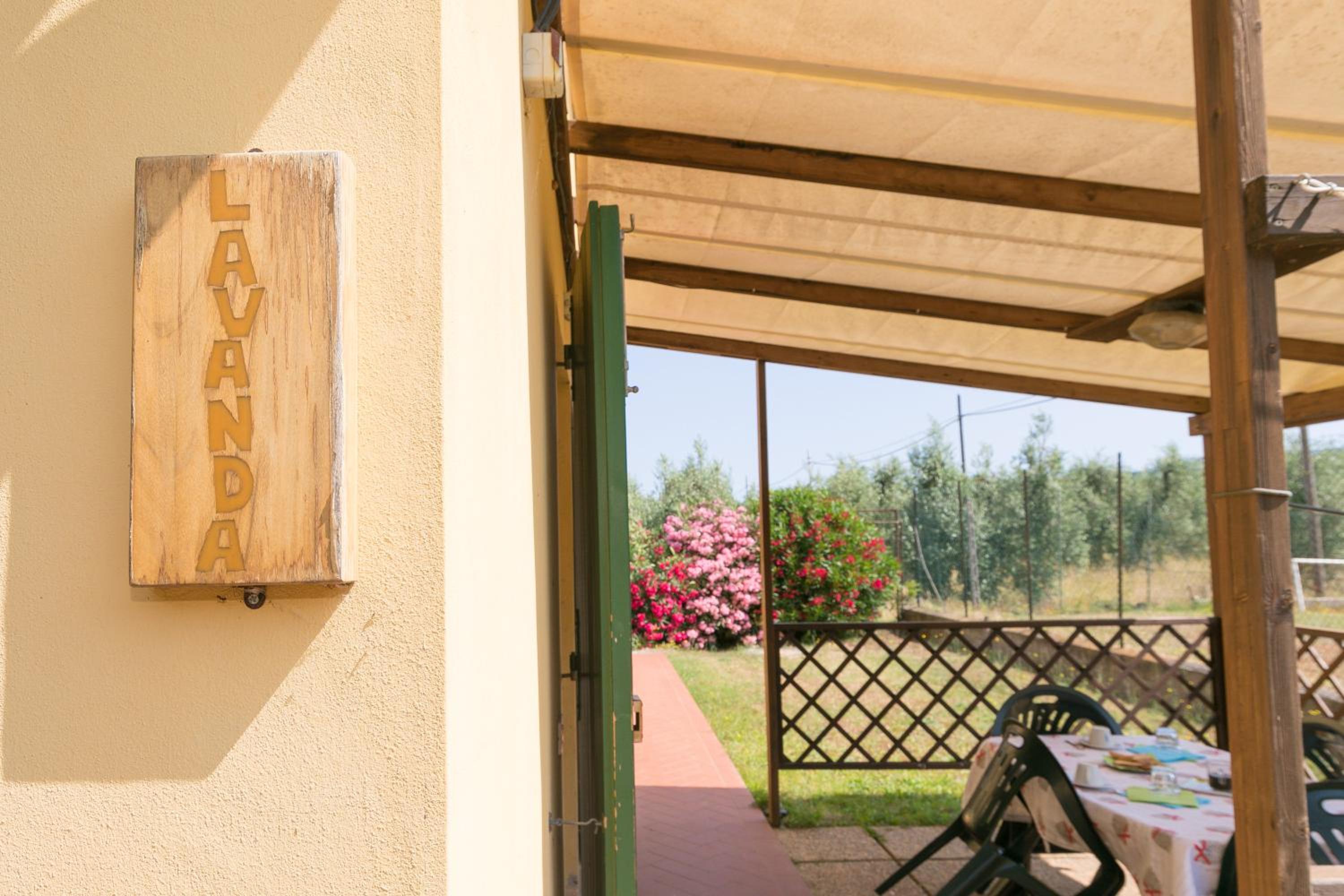 Il Pino - monolocale Lavanda photo 5